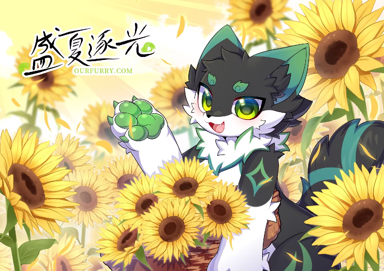 盛夏逐光