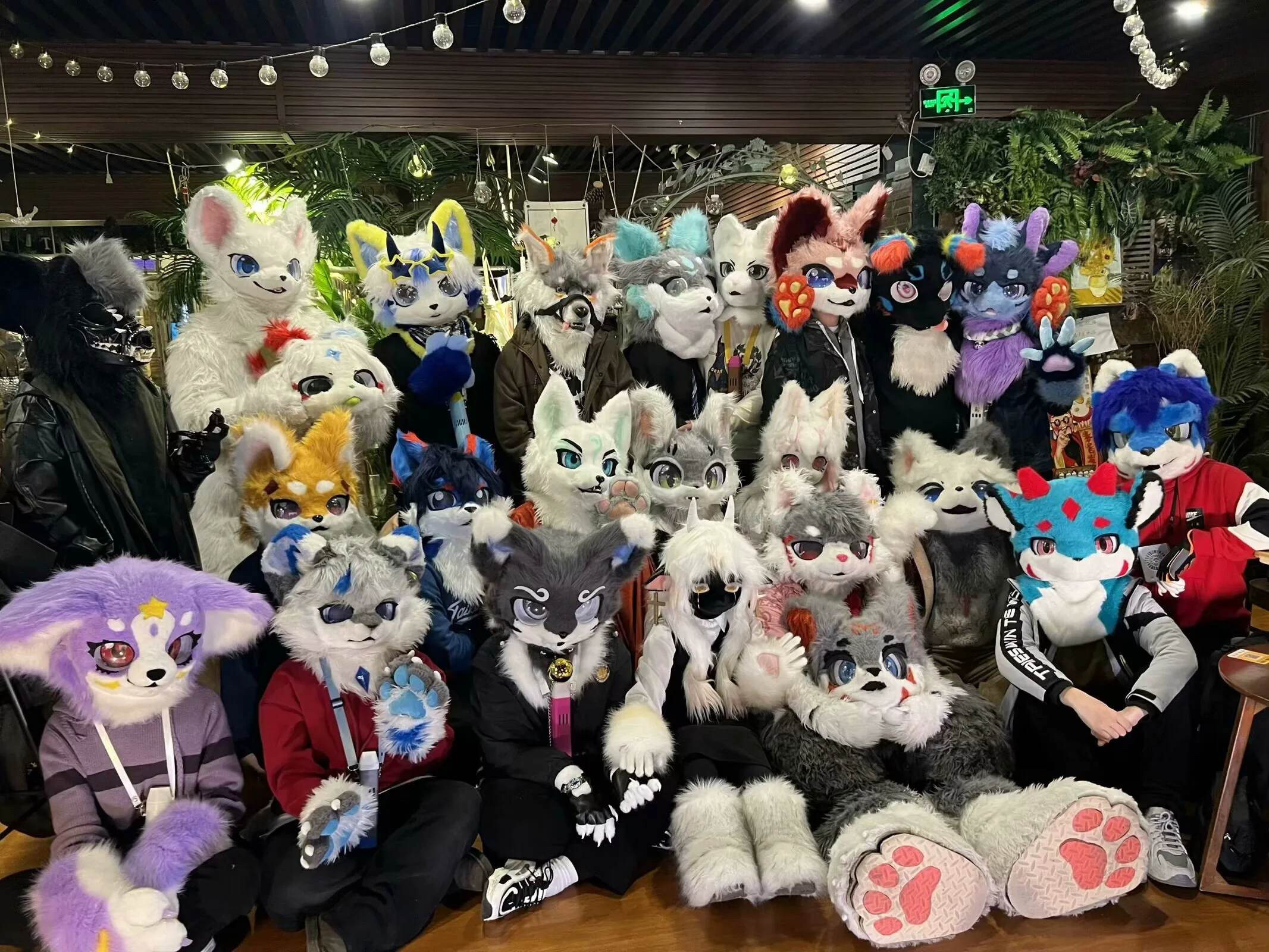 V5.0 元宵迎春 宣传图集 1-Furry百科