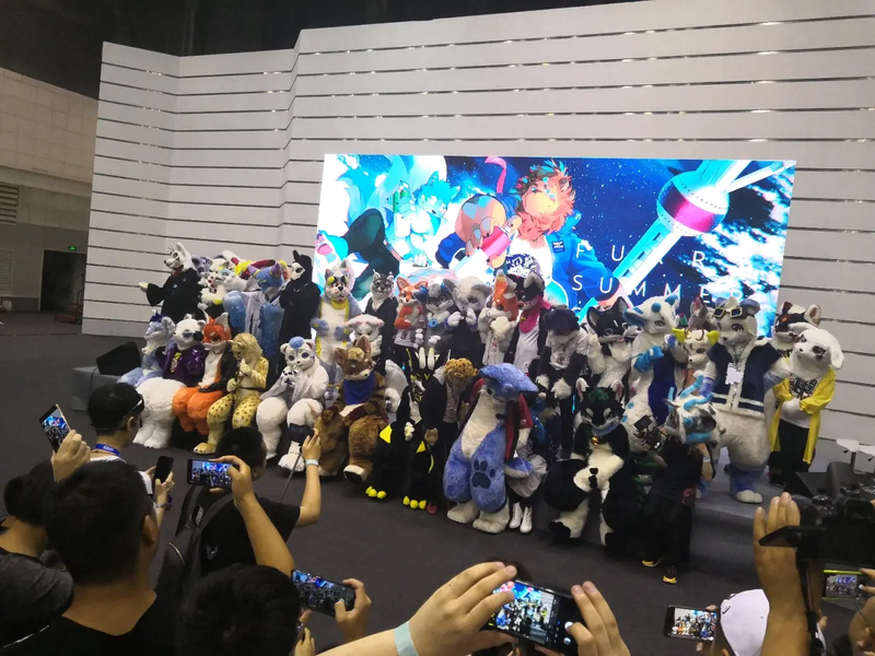 上海兽夏祭 宣传图集 2-Furry百科