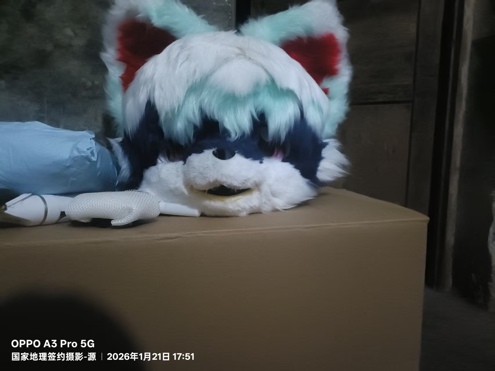 作品集