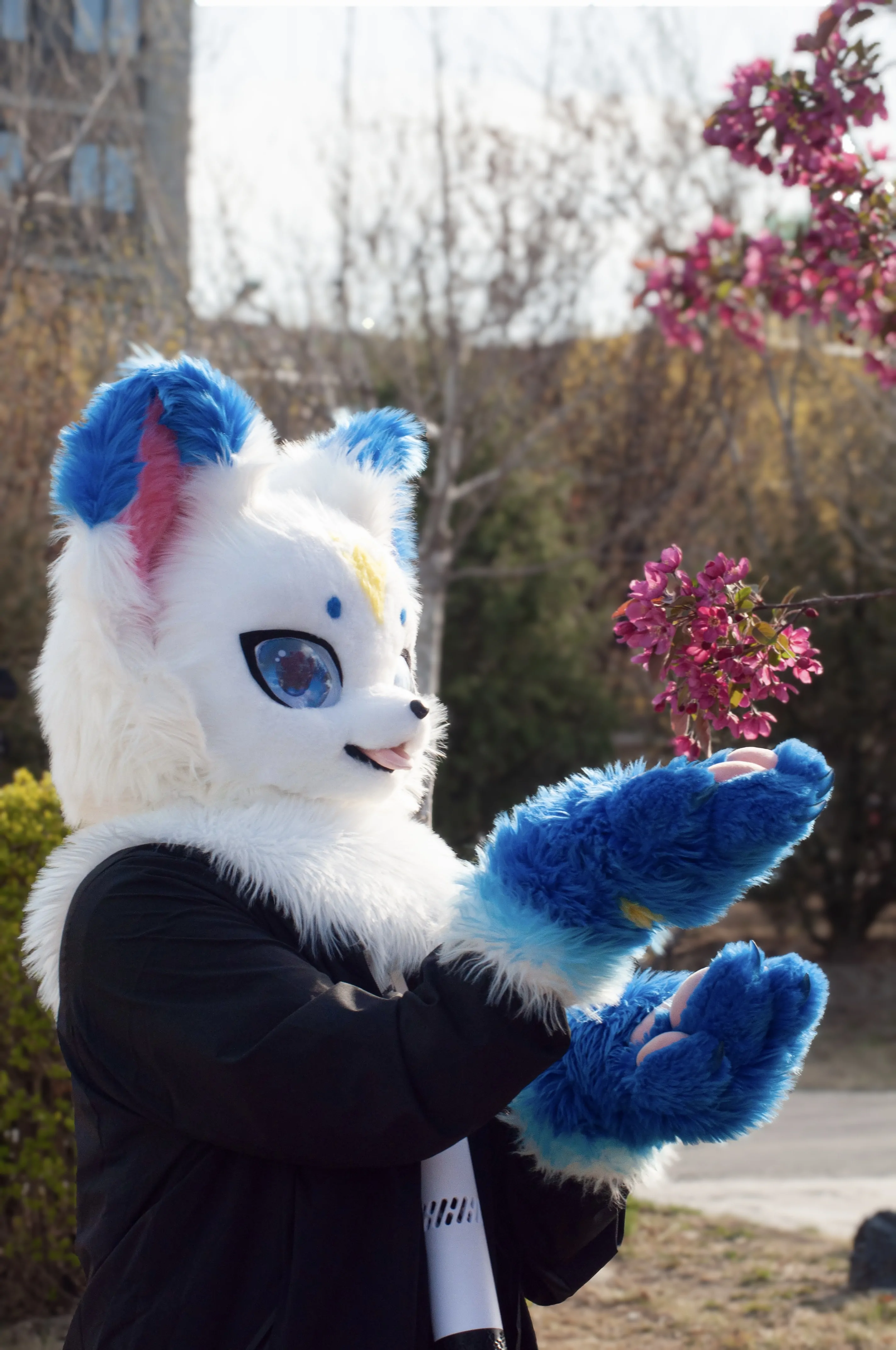 嘿~斯国一！头一次见这么流畅的网站，那我也蹲一个扩列吧-Furry百科