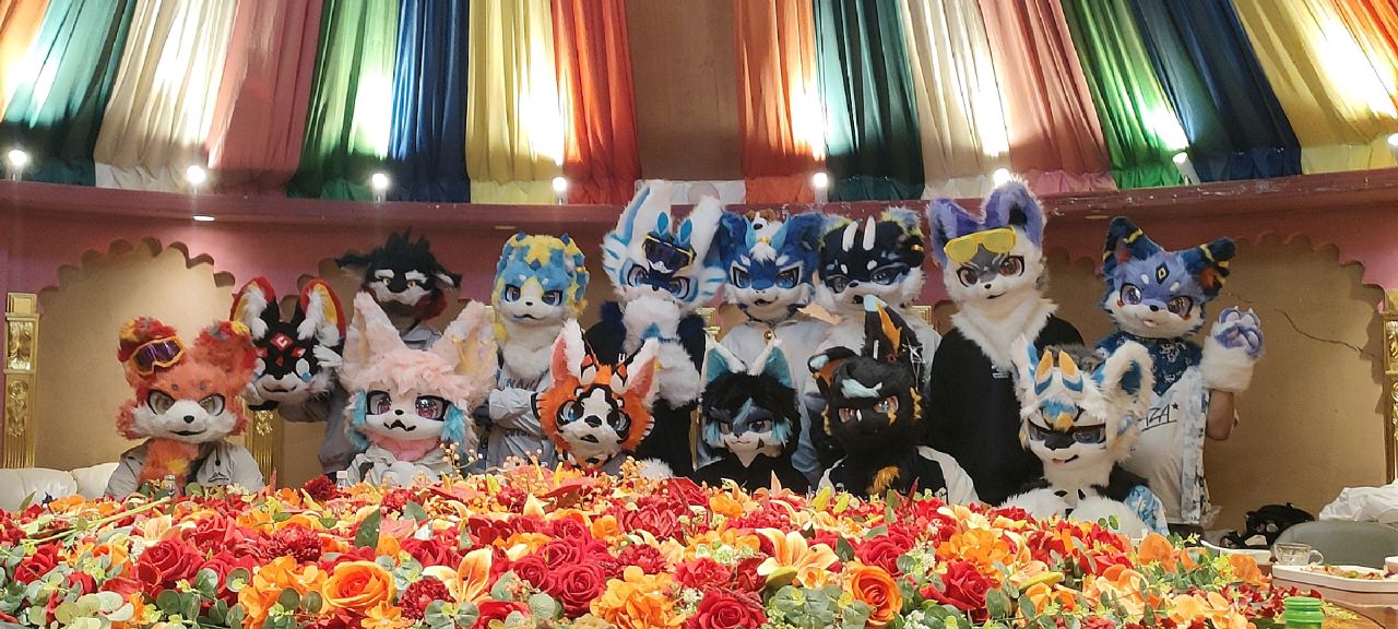 漫展小聚 宣传图集 2-Furry百科