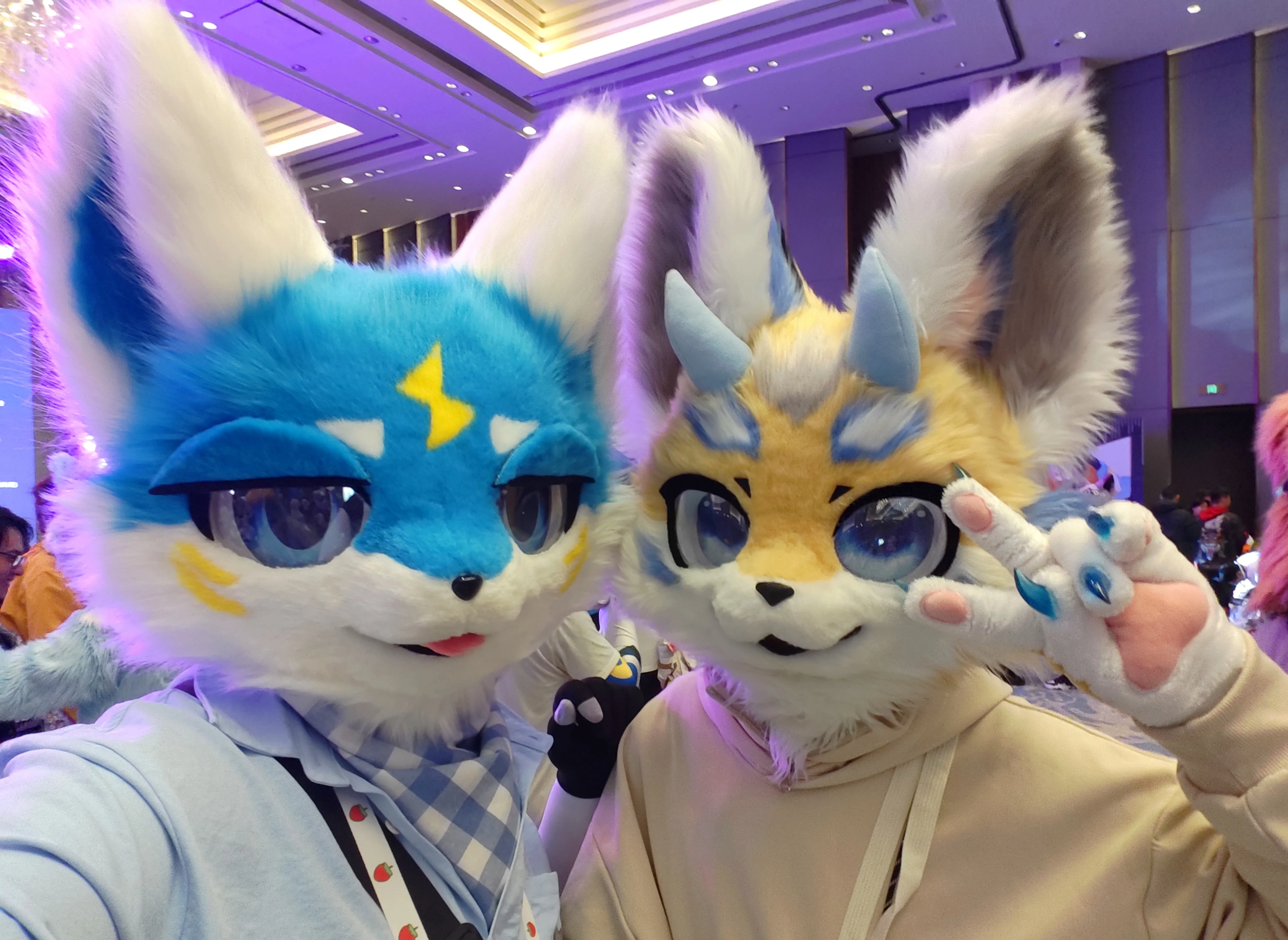 唐山绒兽汇返图！！！-Furry百科