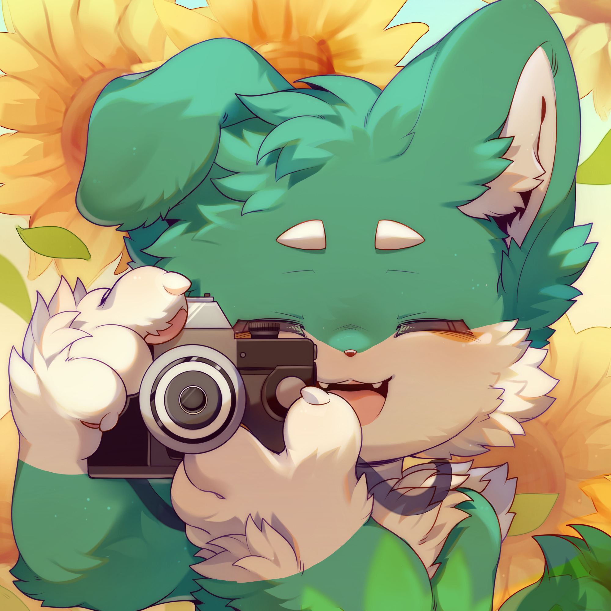 纪星韦Xwei的头像-Furry百科