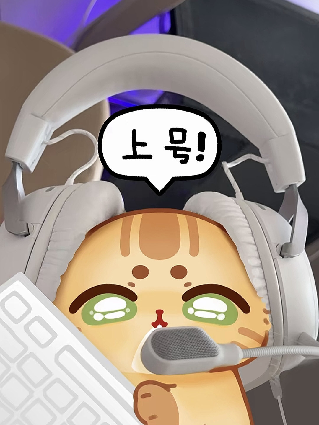 分享一下貓好奇表情包-Furry百科