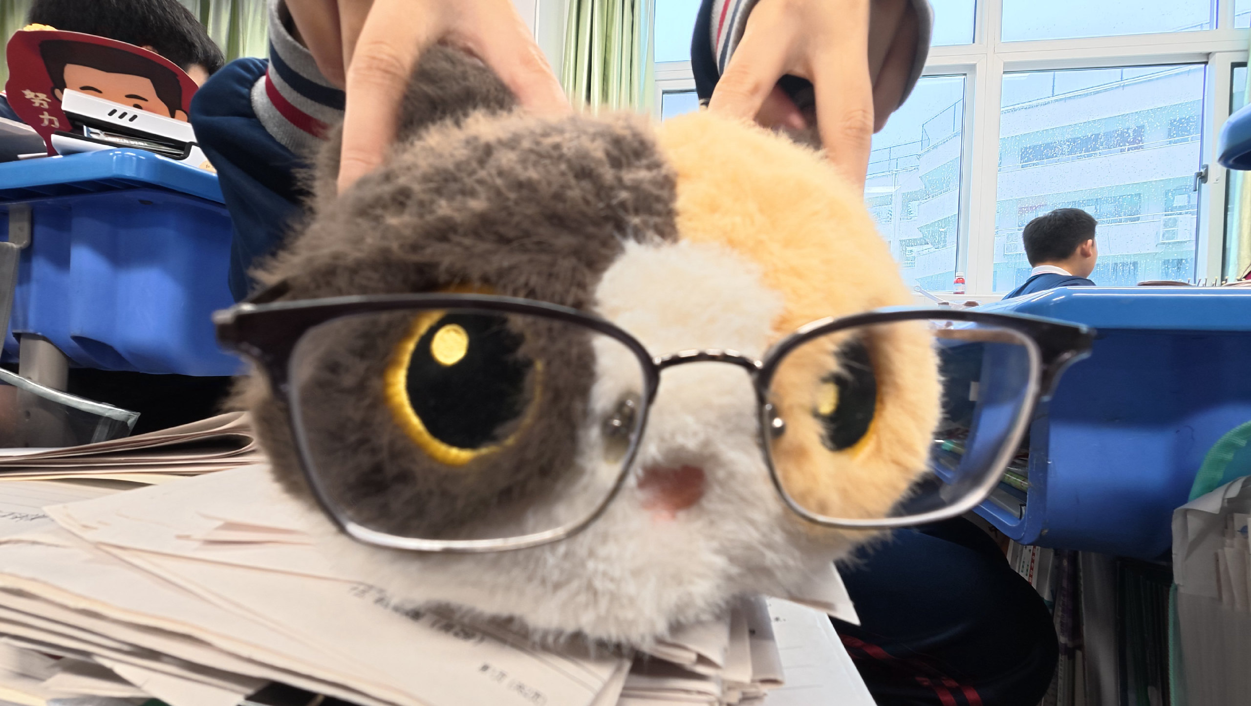 文学猫 #貓好奇-Furry百科