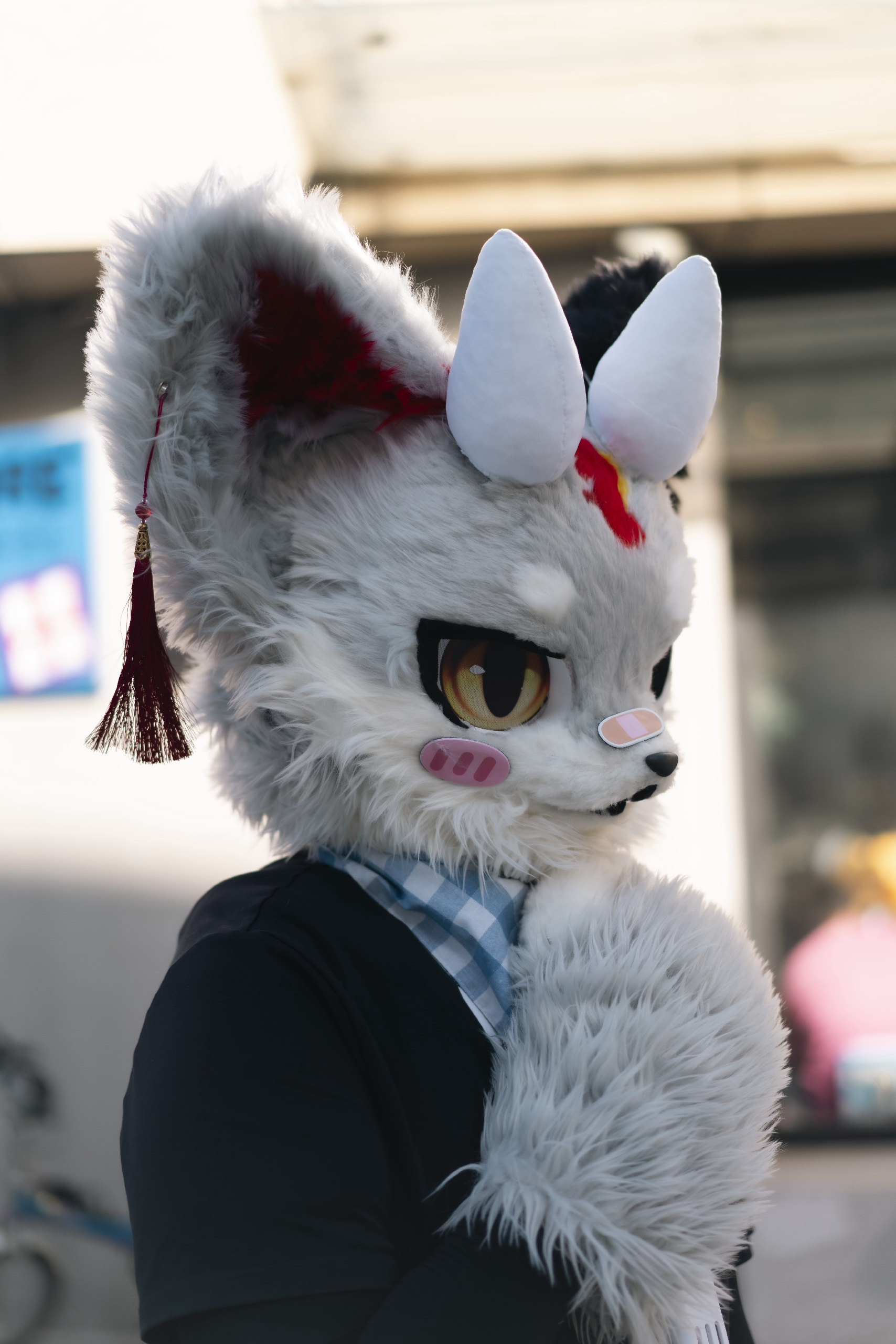 大家好呀，我是洛寒~-Furry百科