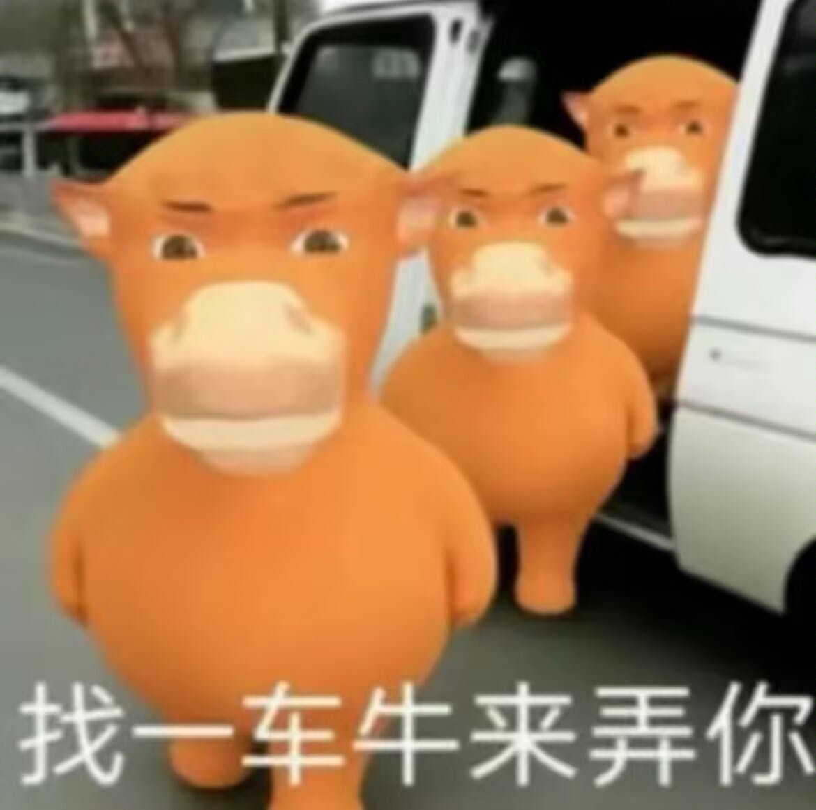 来支持了-Furry百科