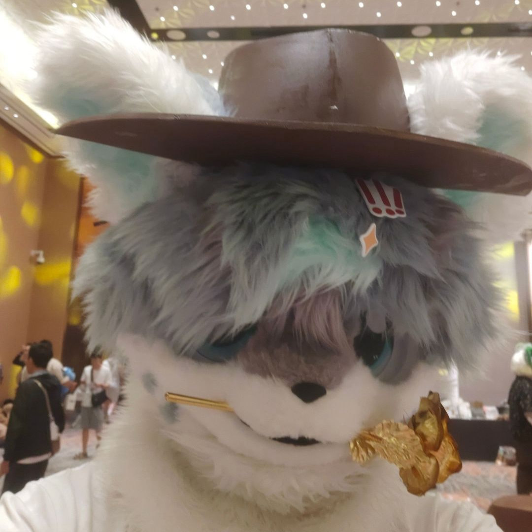 凌南的头像-Furry百科