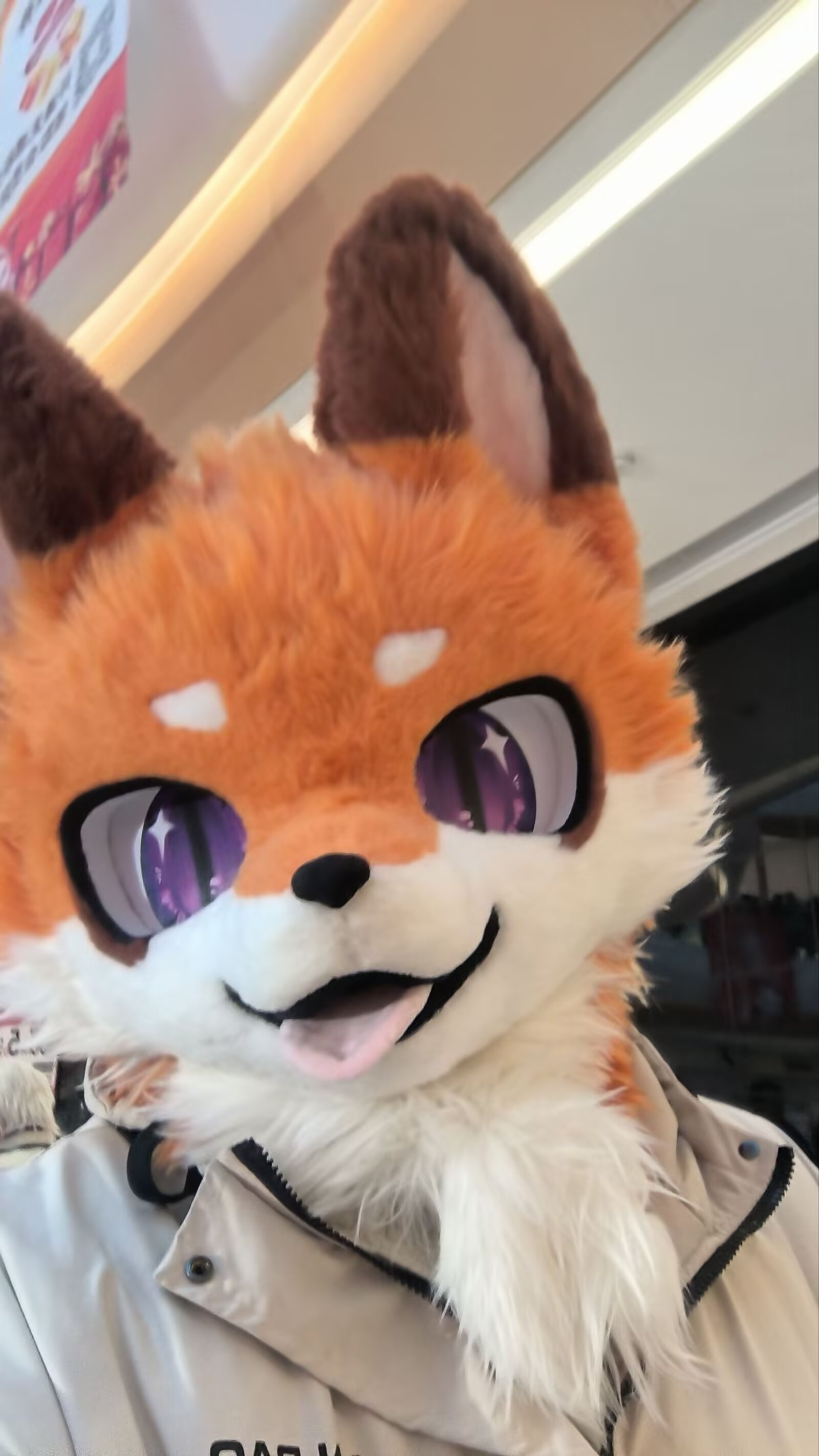 大家好我是雨汐 第一张是我的毛照 第...-Furry百科