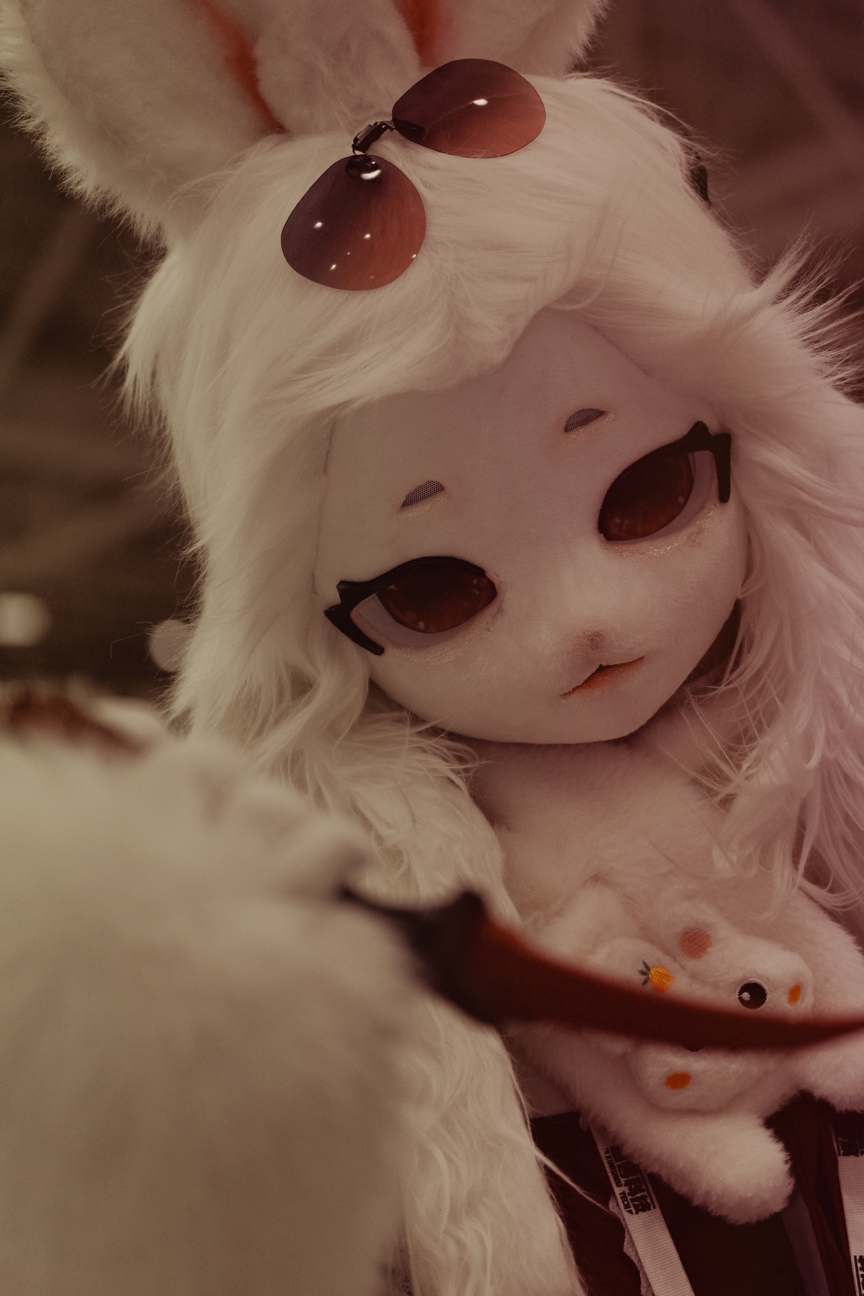 大家好吖-Furry百科