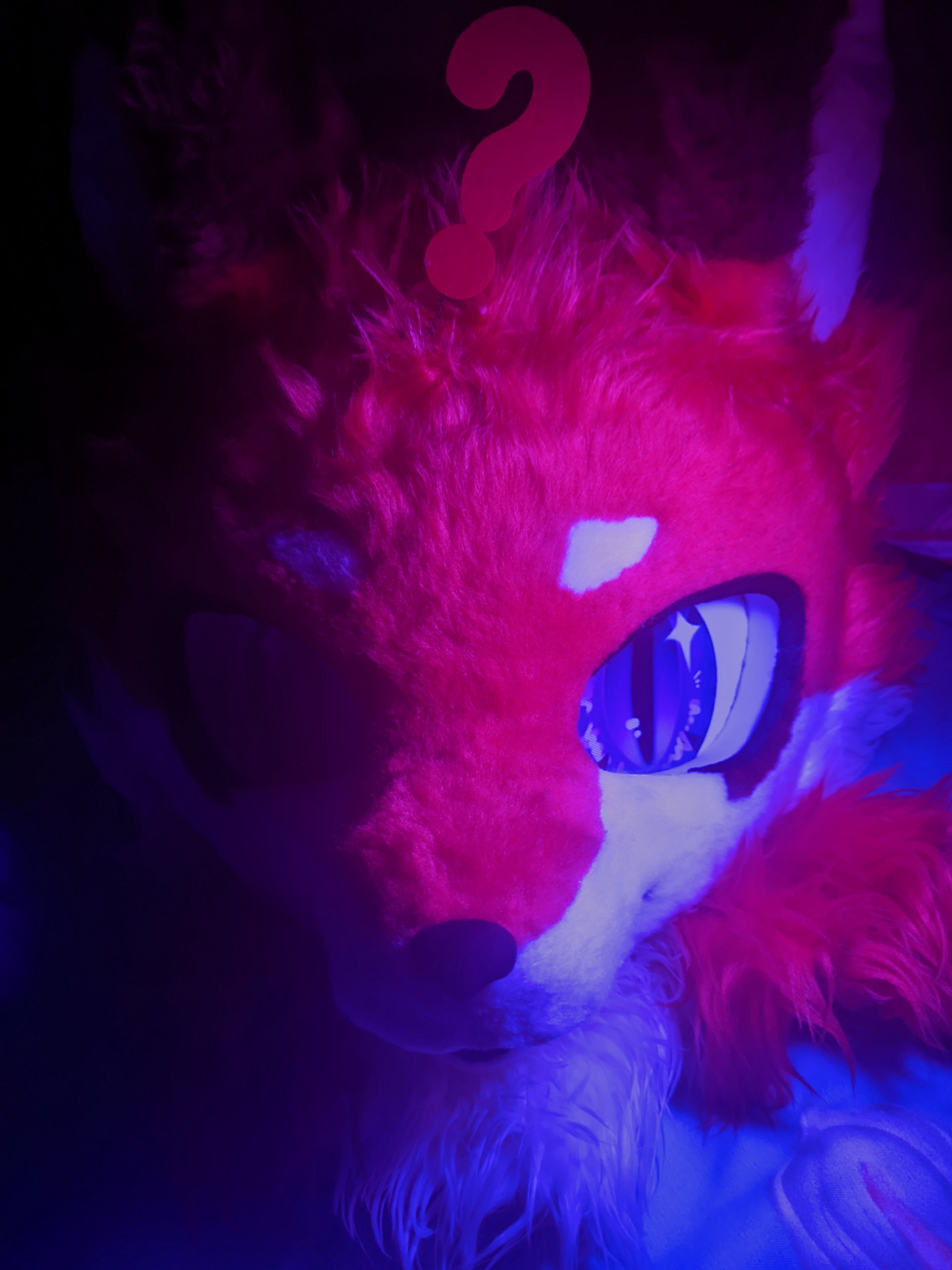 光 狐狸-Furry百科