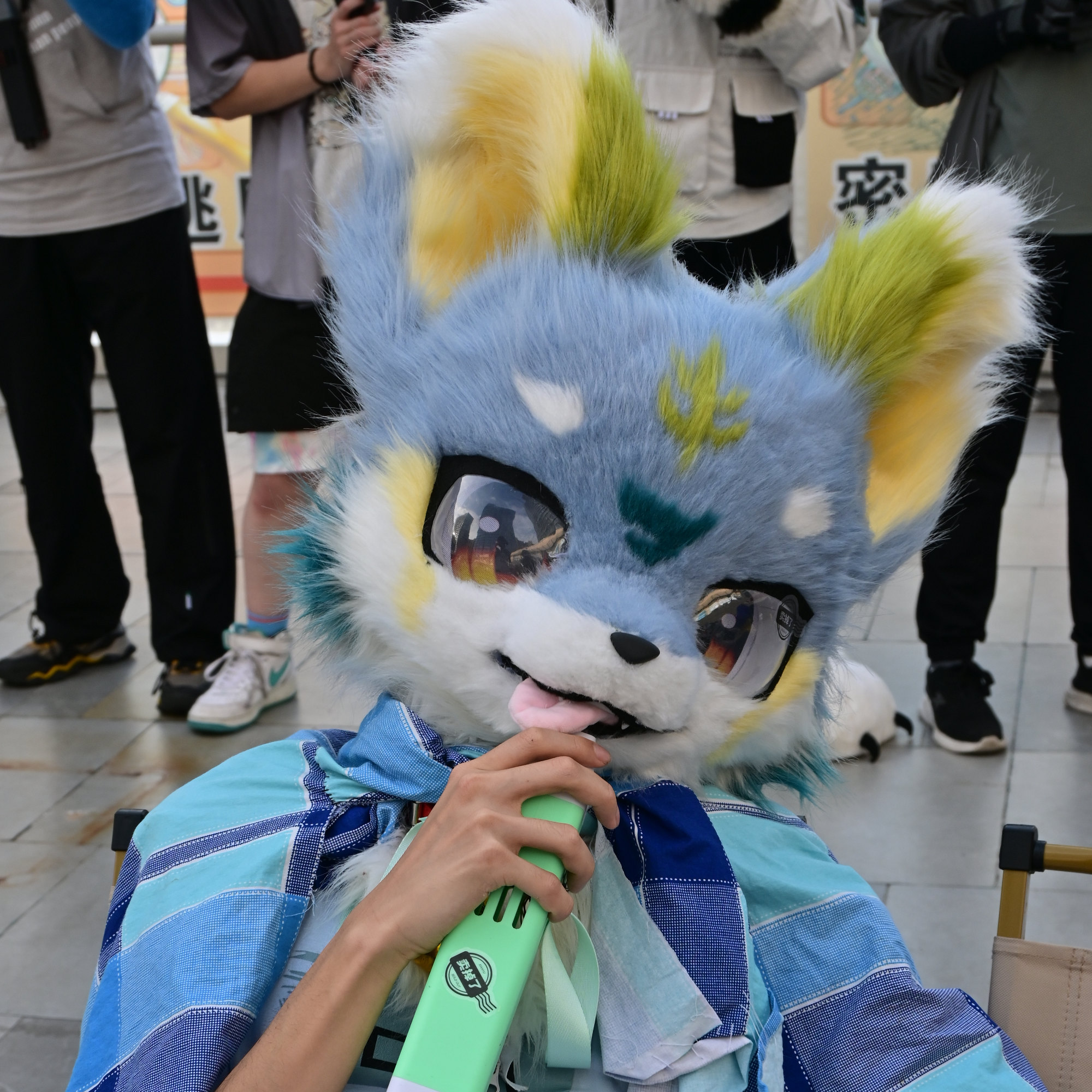 无所事事的兰曦的头像-Furry百科