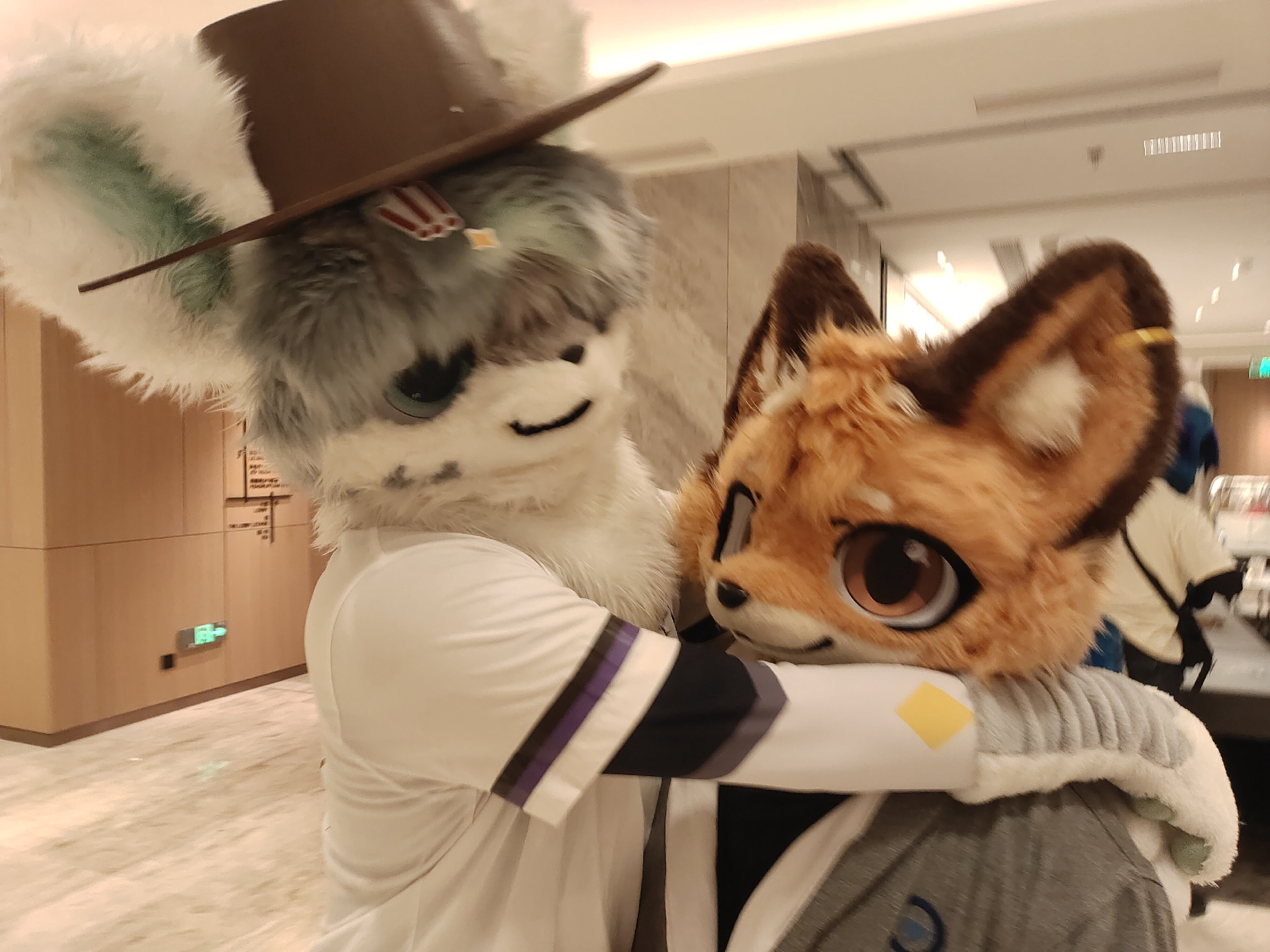 绒兽6th.一些返图～-Furry百科