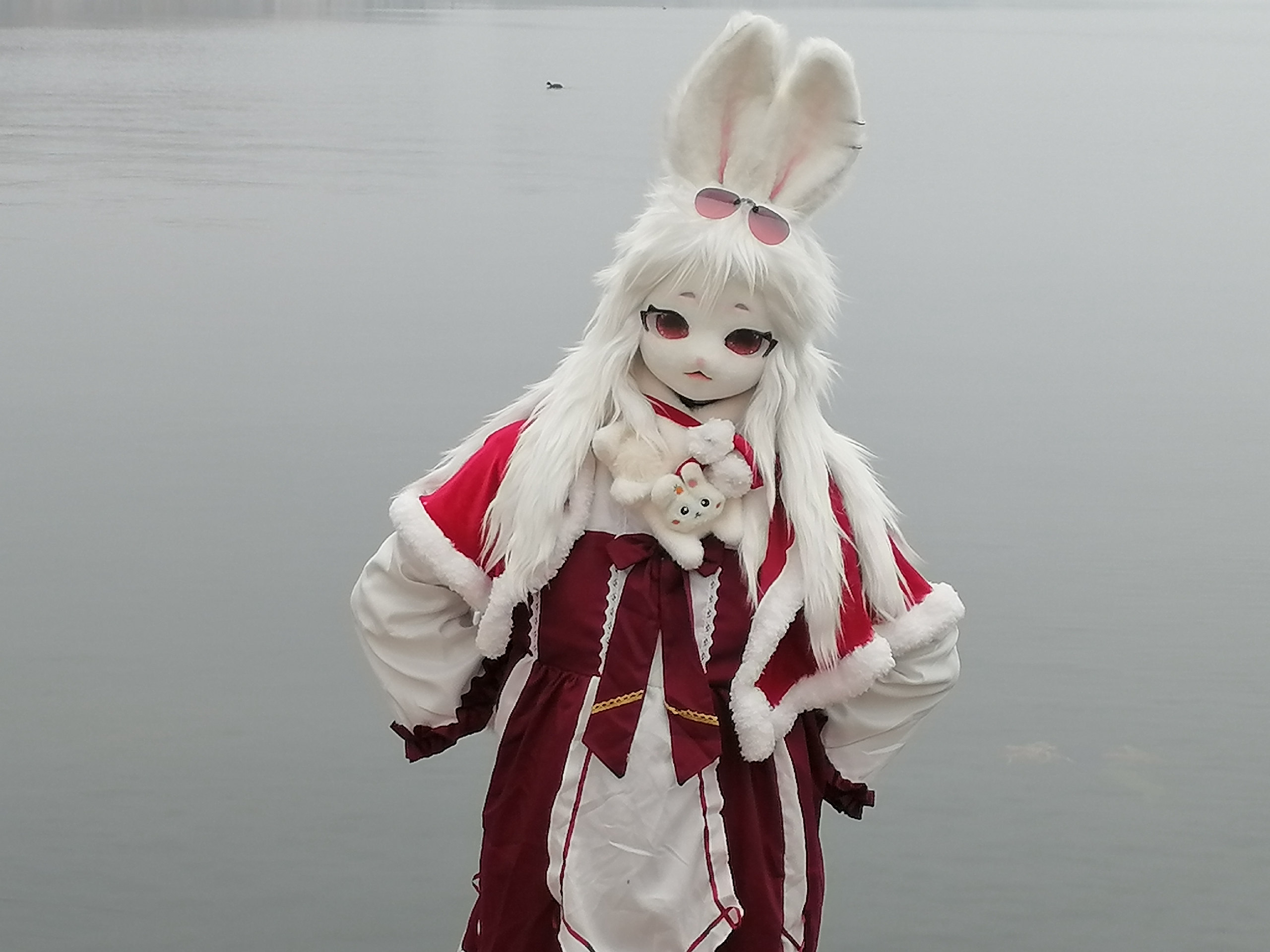 大家好吖-Furry百科