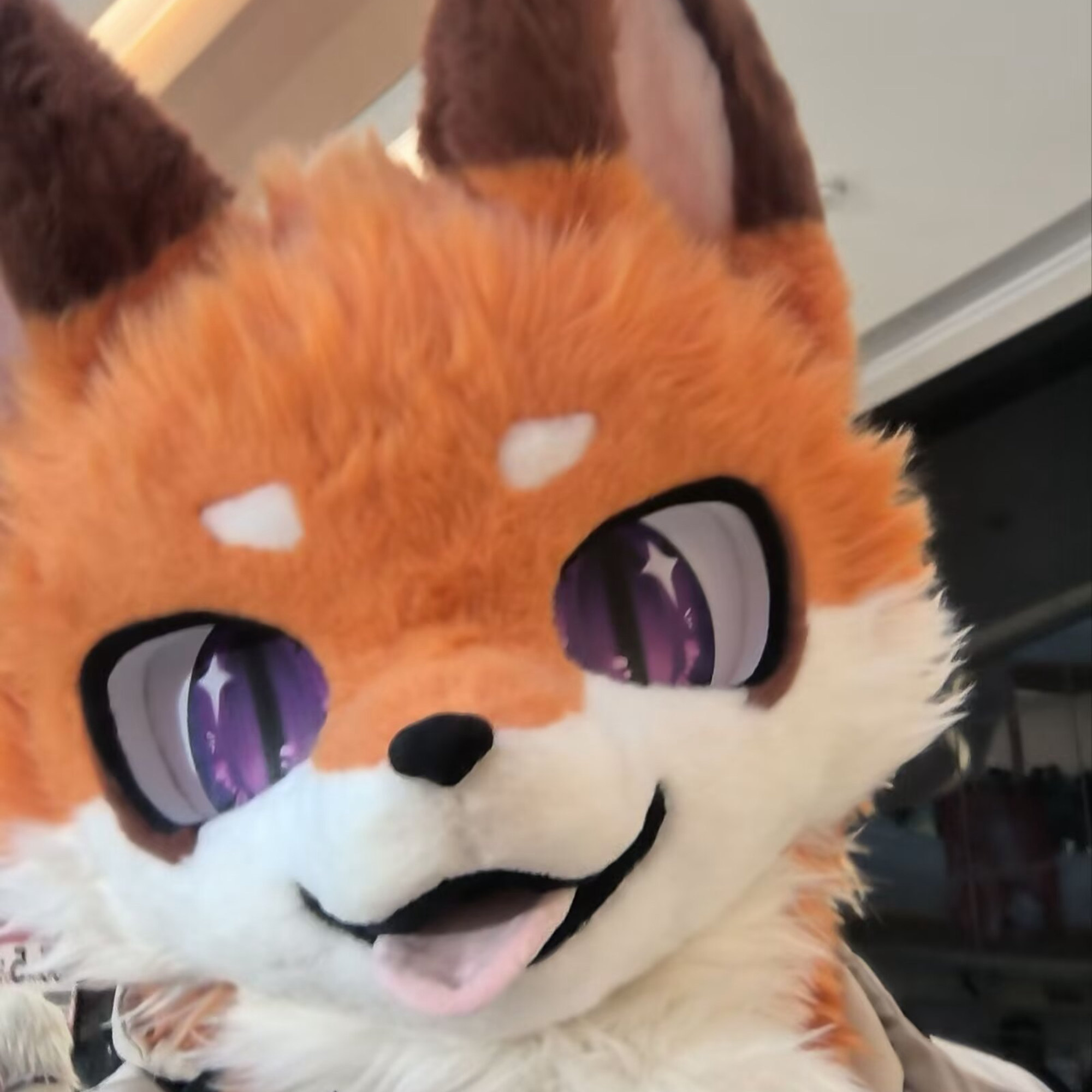 雨汐-Fox的头像-Furry百科