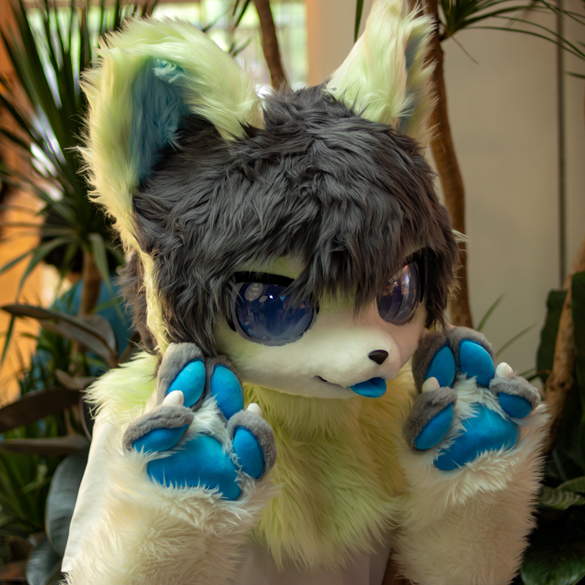 小透明森淼的头像-Furry百科