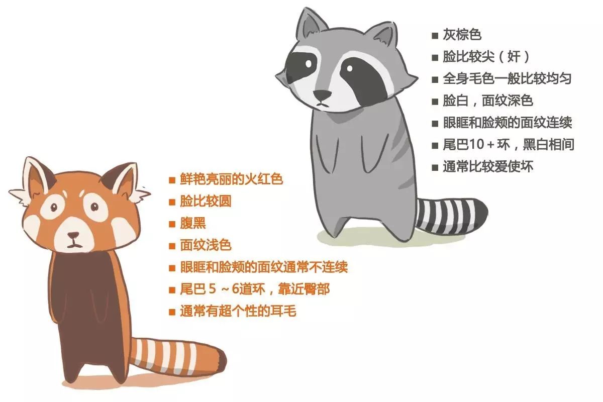 突然就是发现自己的设定没有确切形象-Furry百科