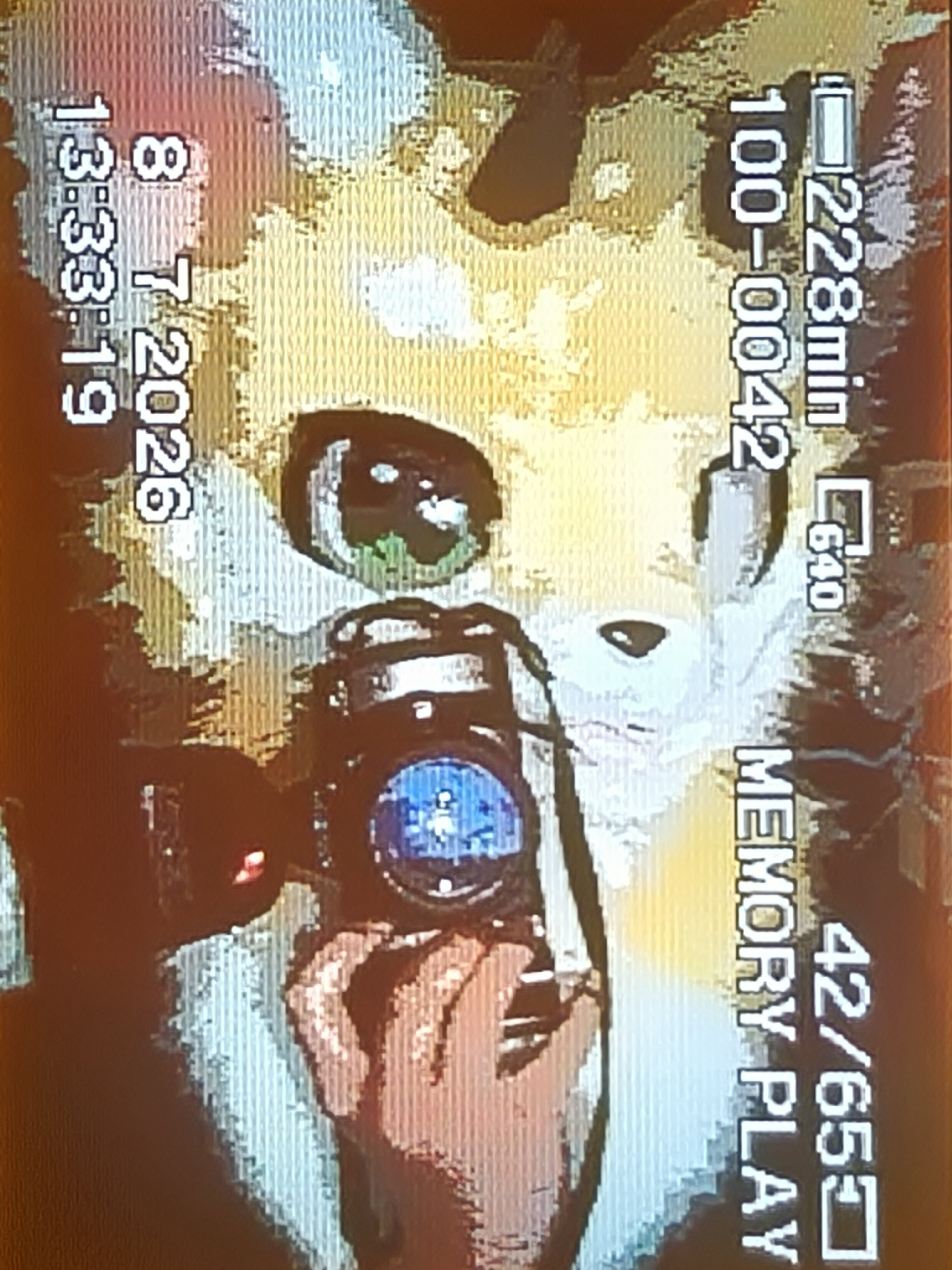 一些复古的拍摄-Furry百科