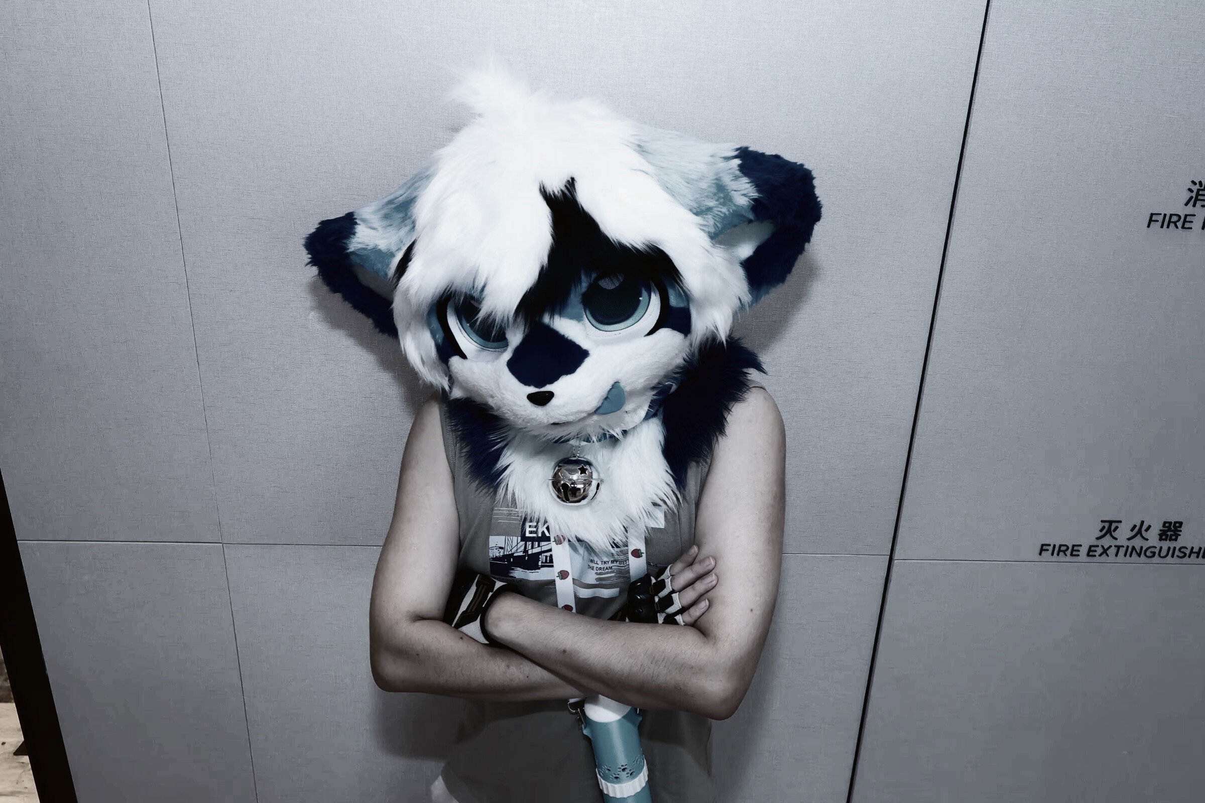 来混个眼熟-Furry百科