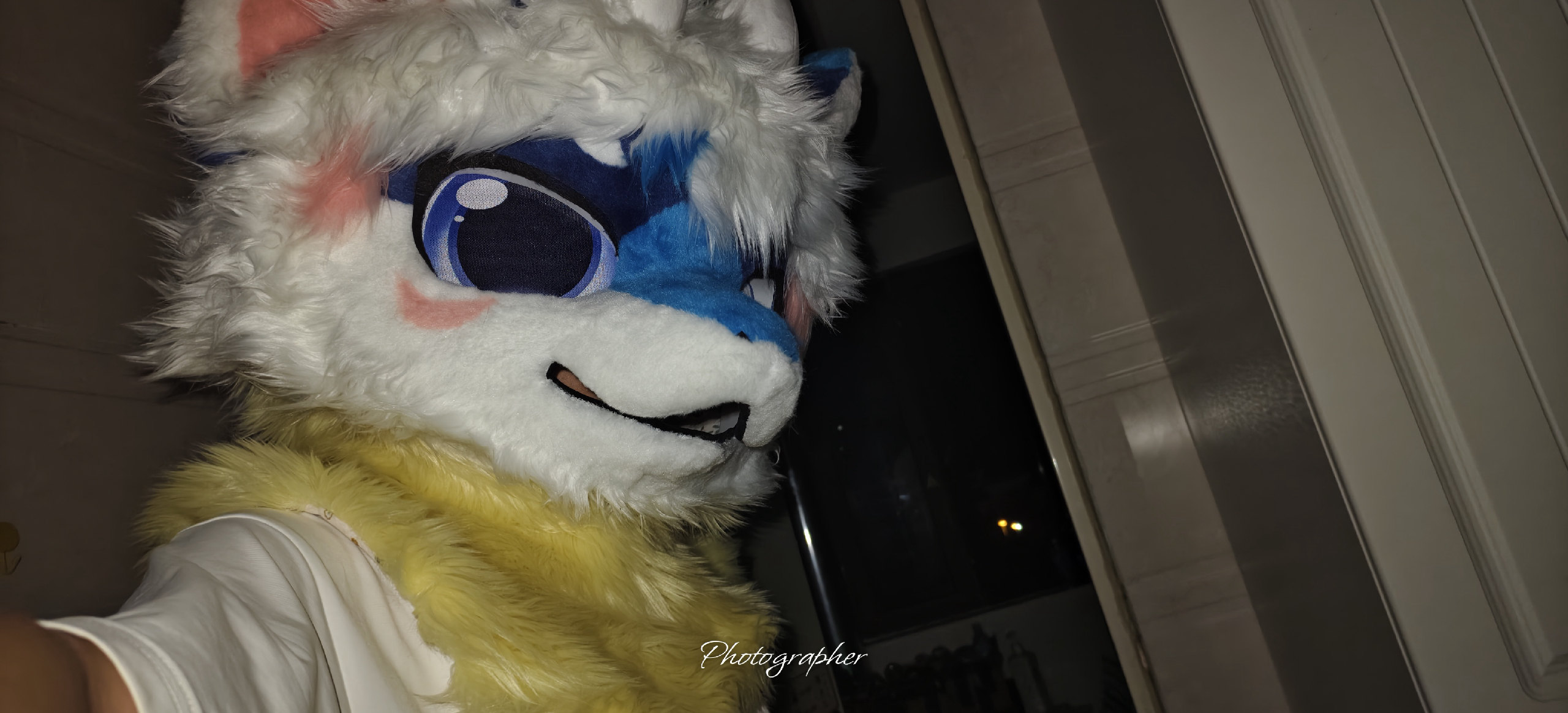 🤤🤤🤤-Furry百科
