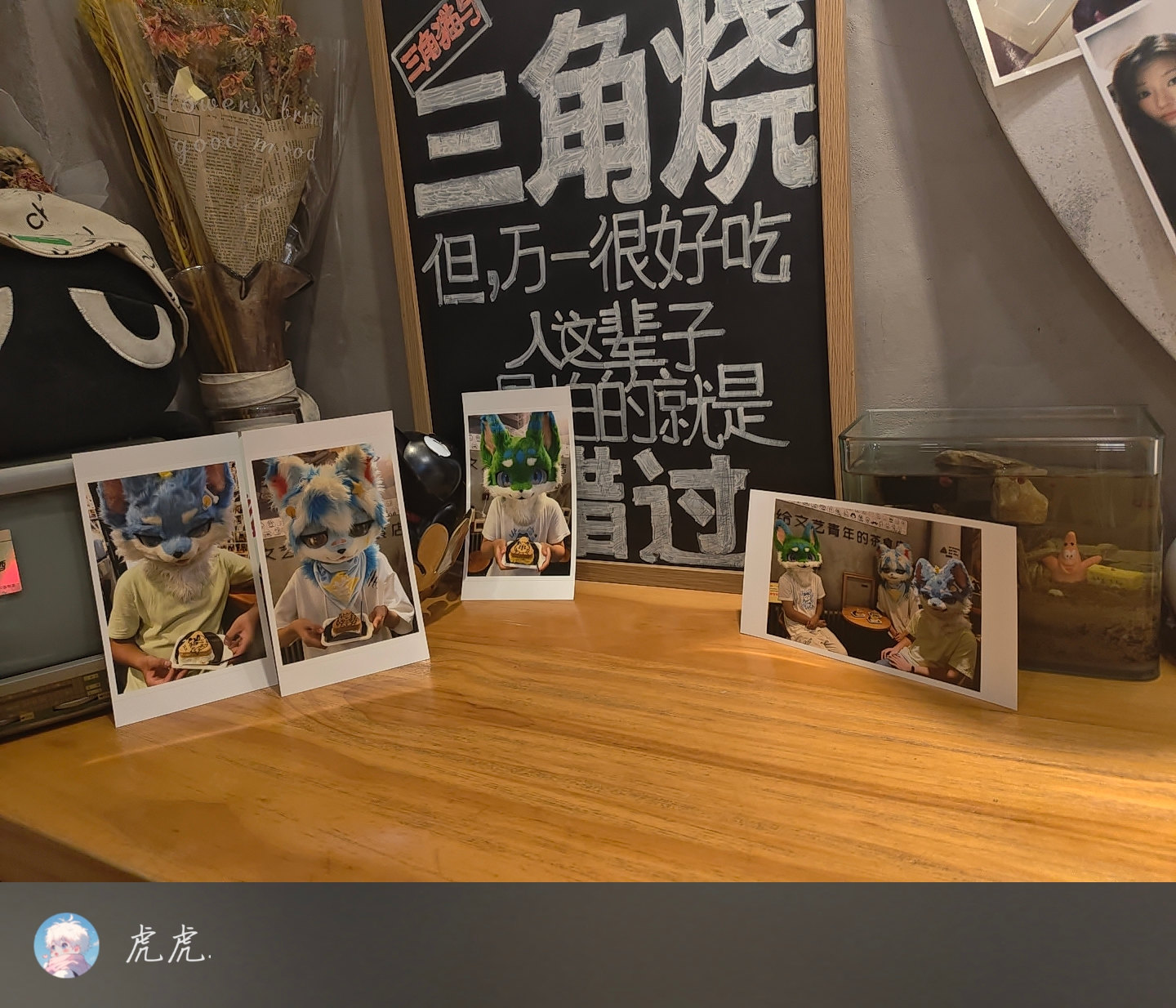 来三角猫与三角烧打卡啦 #三角猫 with @莯绿 @蓝海-Furry百科