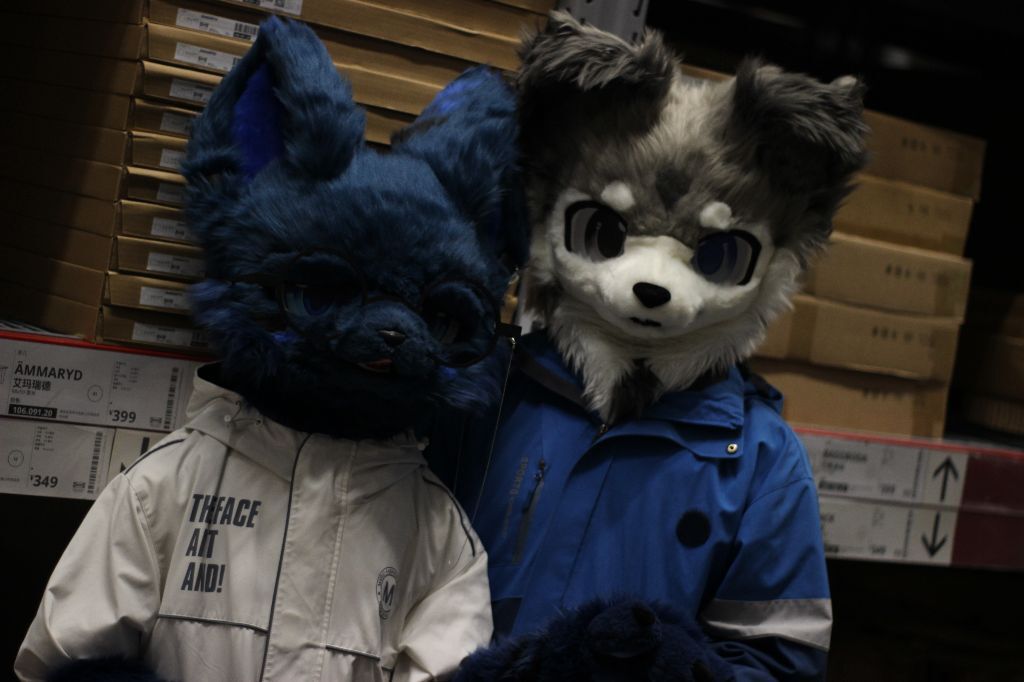 二选一？-Furry百科