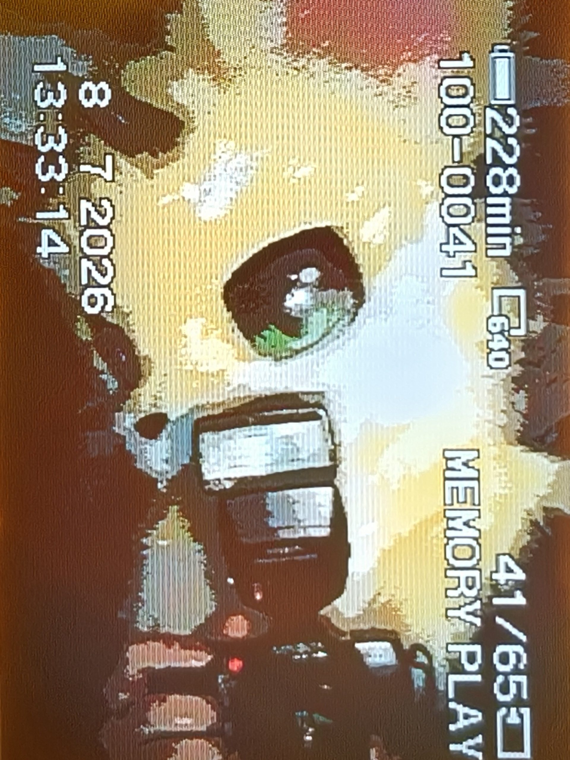 一些复古的拍摄-Furry百科