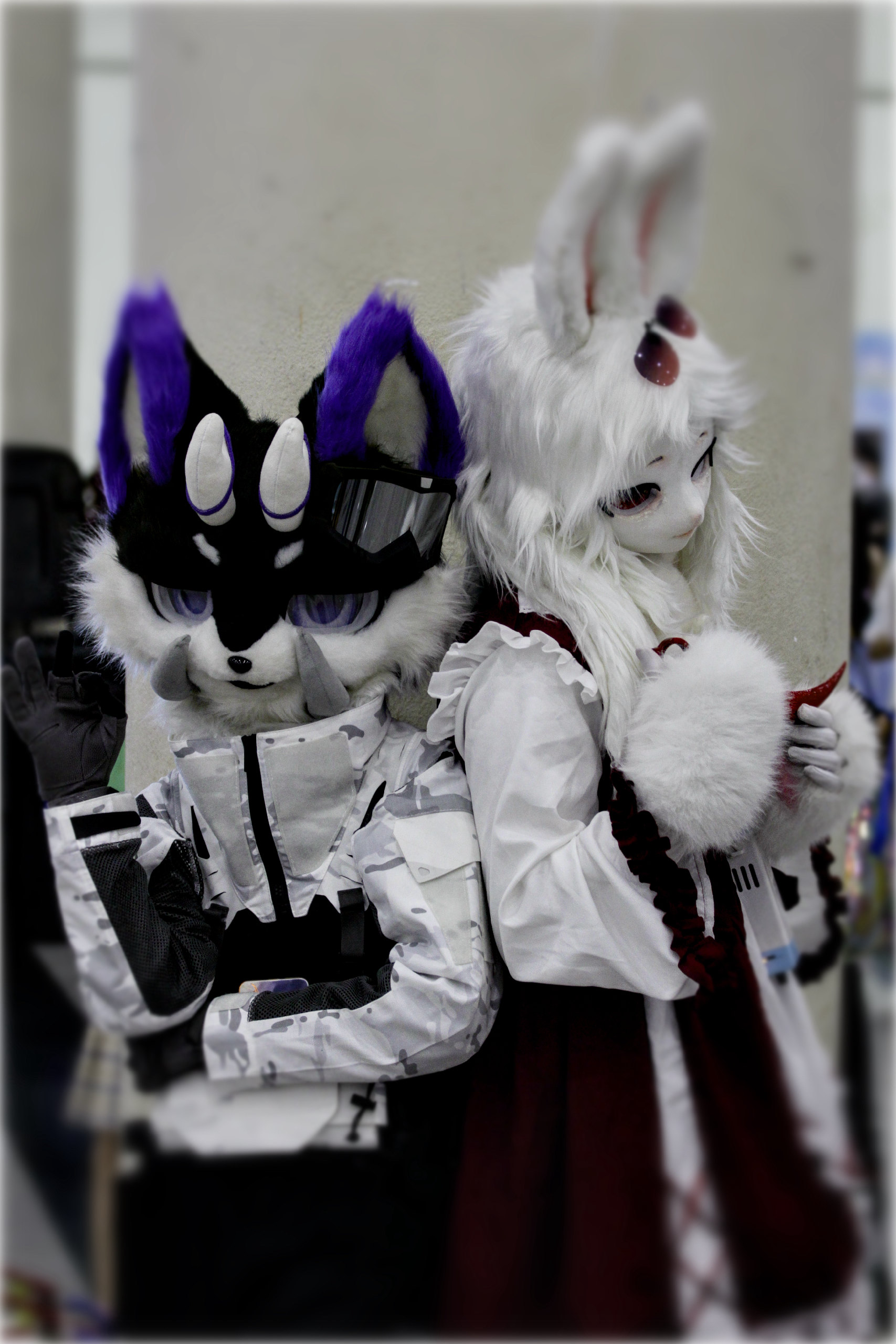 懒得等毛五了-Furry百科