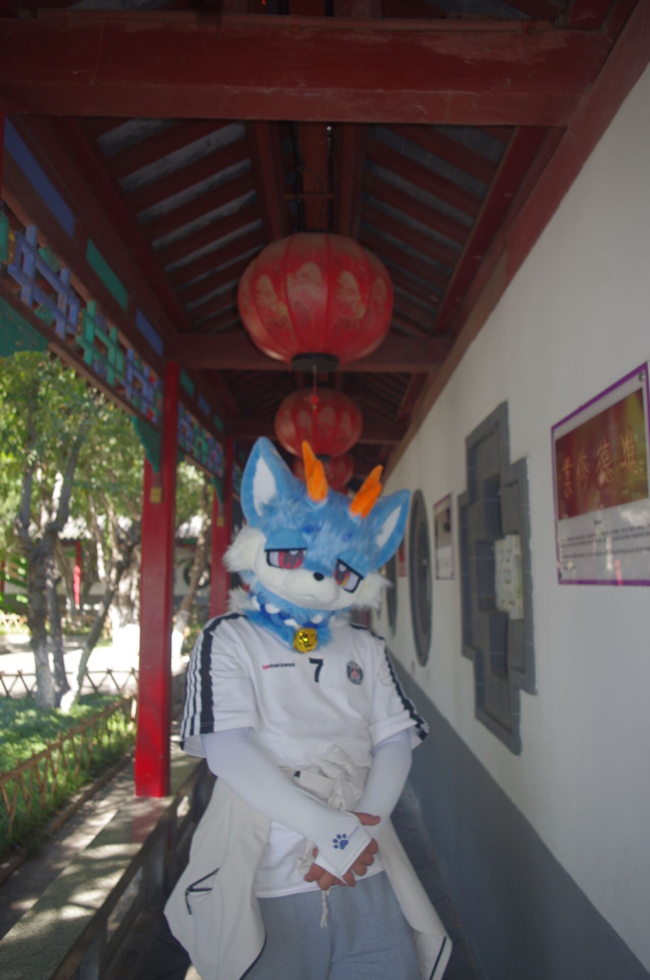图集帖-Furry百科