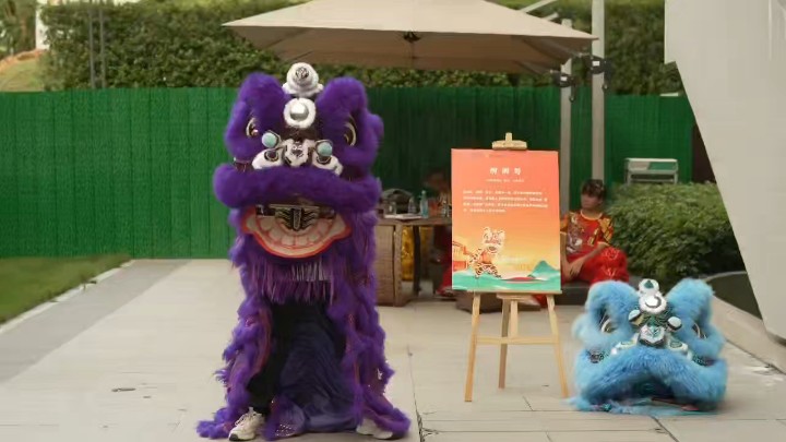 中国传统福瑞w