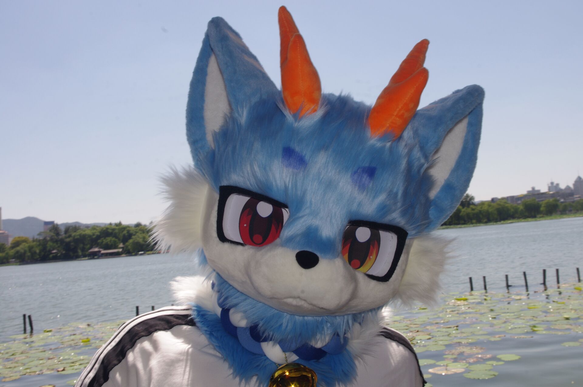 图集帖-Furry百科
