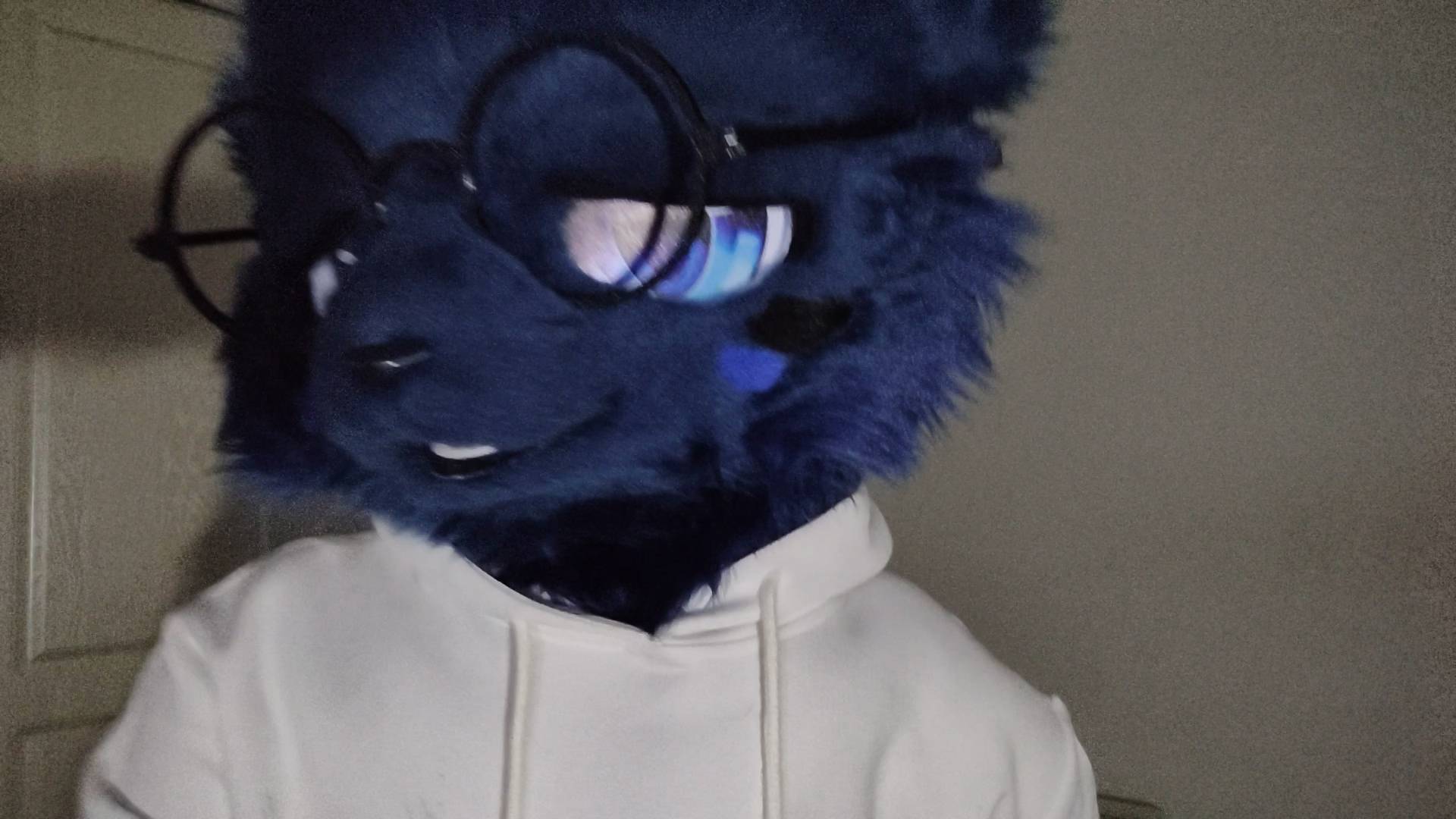 很有外网味的-Furry百科