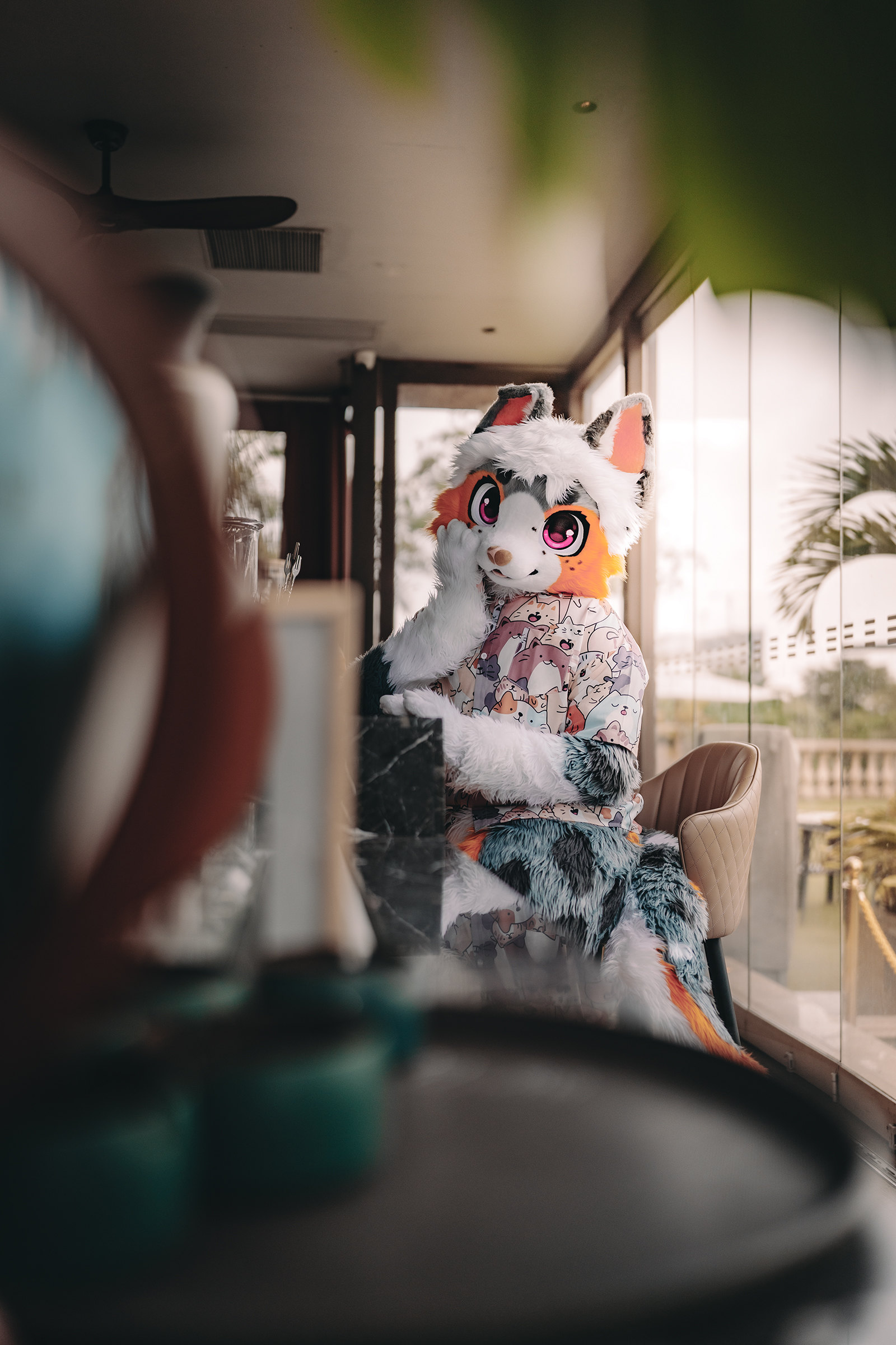 【Hifurry展前扩列】-Furry百科