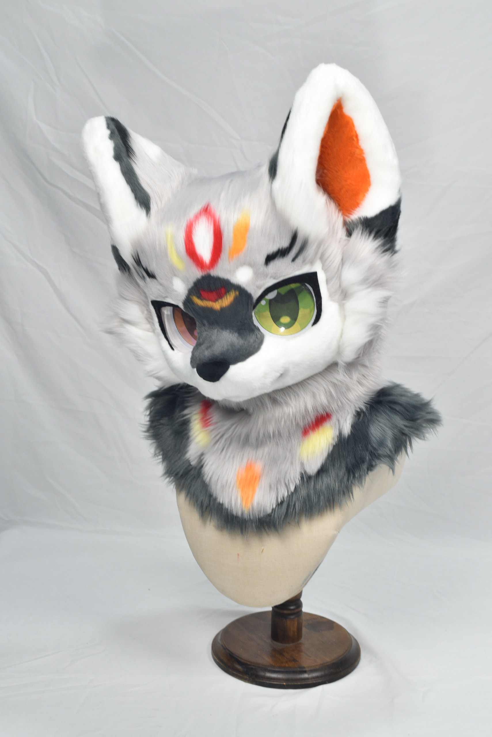 犬科（正式）