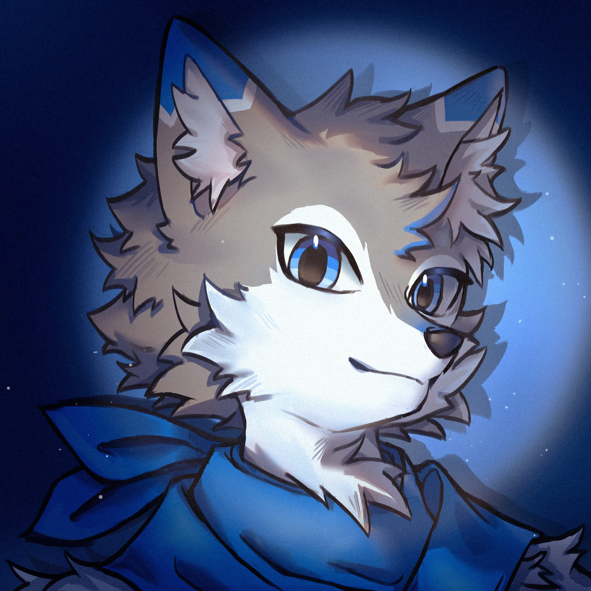 可塔Kita的头像-Furry百科
