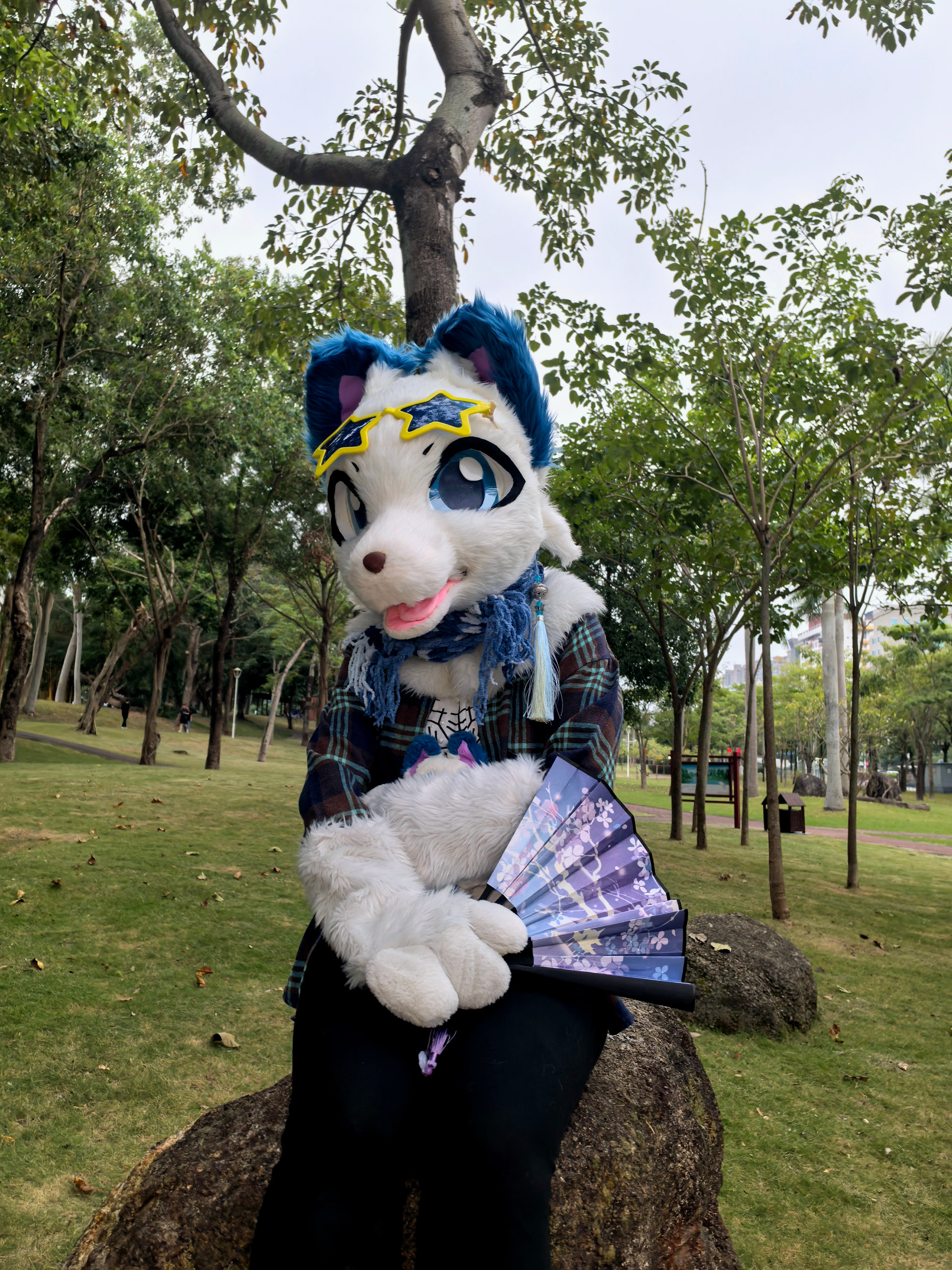 新人报道！这里银雪～-Furry百科