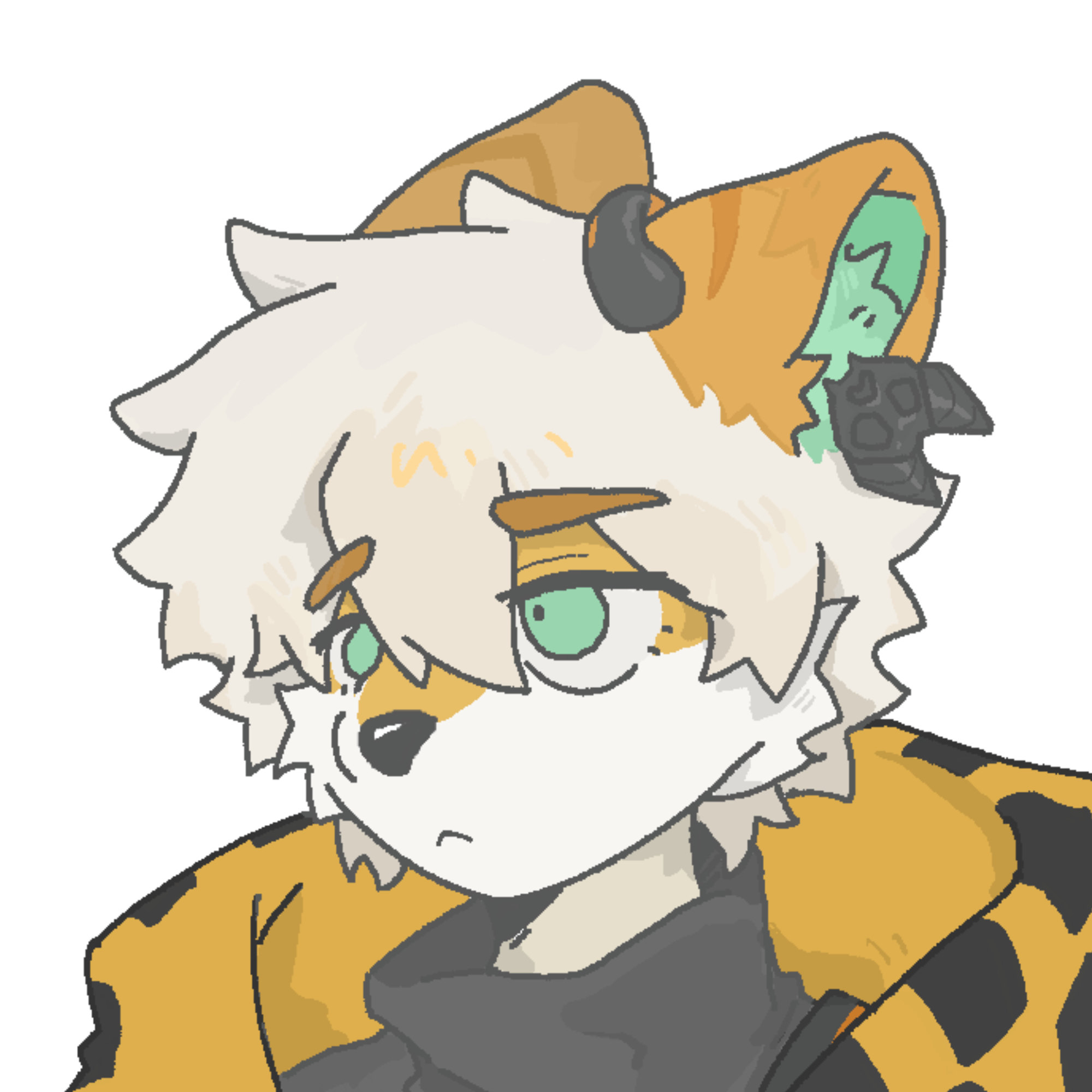 K2CRO4的头像-Furry百科