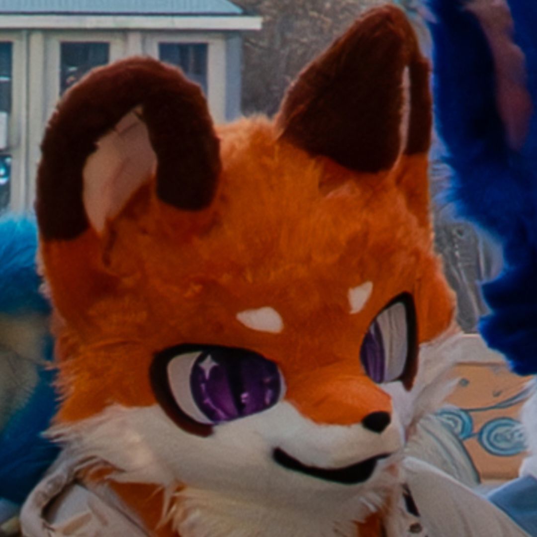 狐狸 夏天 爱-Furry百科