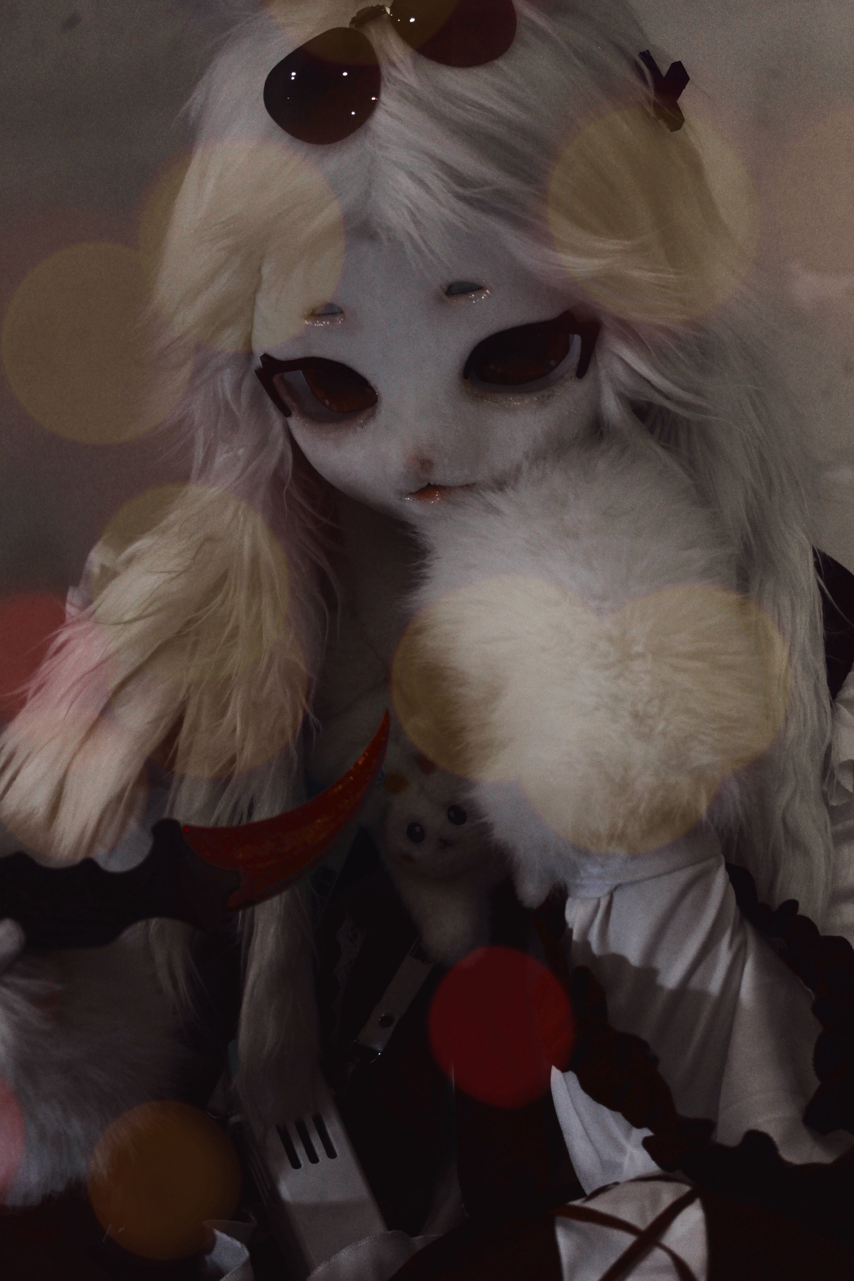 懒得等毛五了-Furry百科