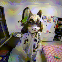 用户封面