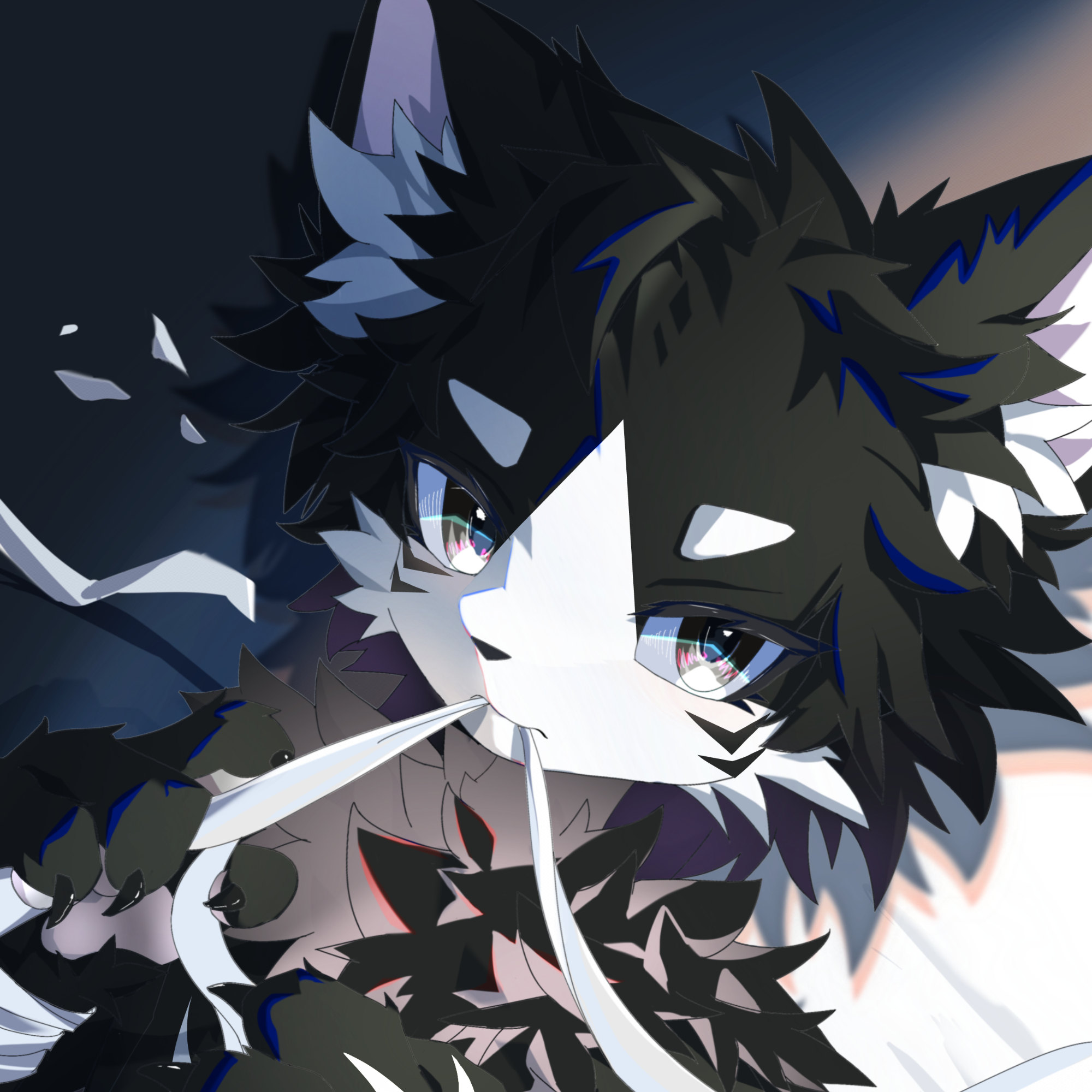 弦栖7的头像-Furry百科