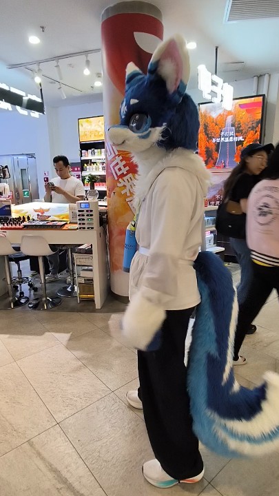 这么走路，越走越感到通透 #Furry #Fursuit #萌