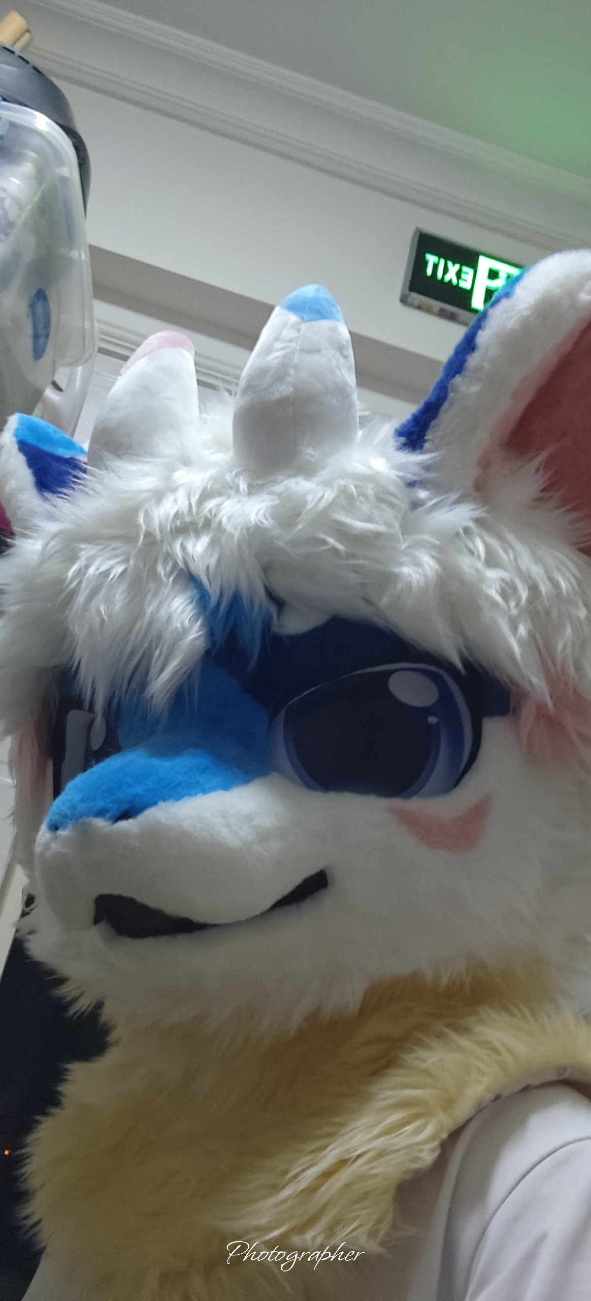 🤤🤤🤤-Furry百科