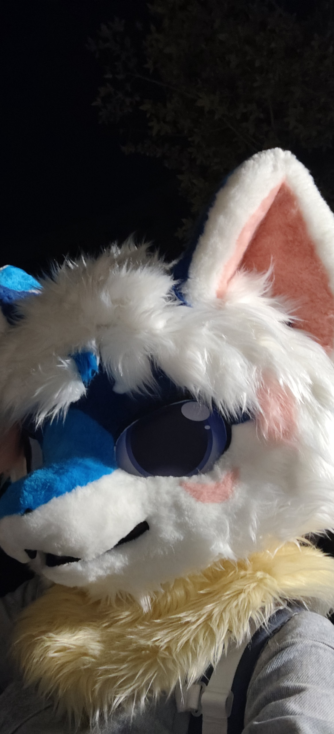 🤤🤤🤤-Furry百科
