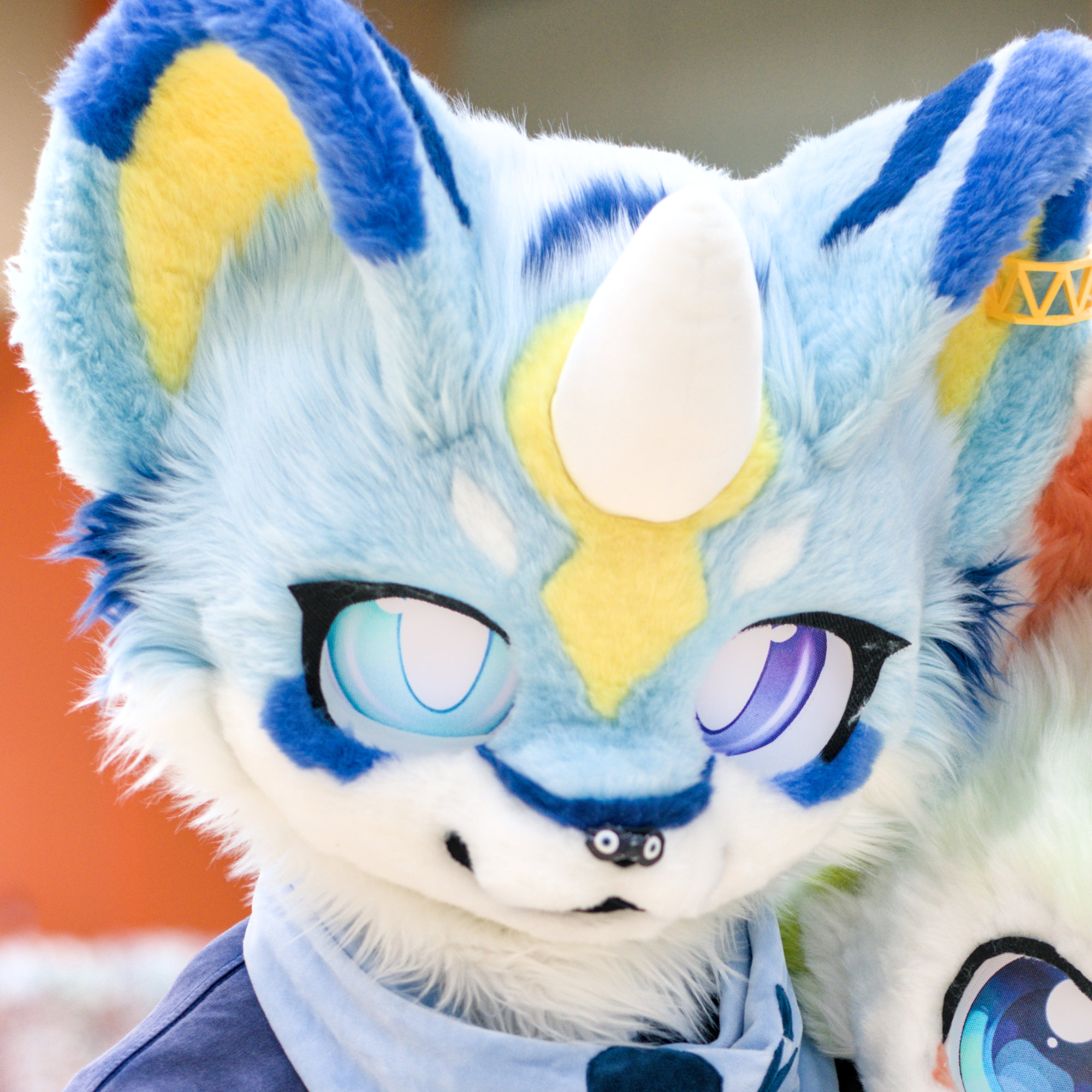泷陌ovo的头像-Furry百科