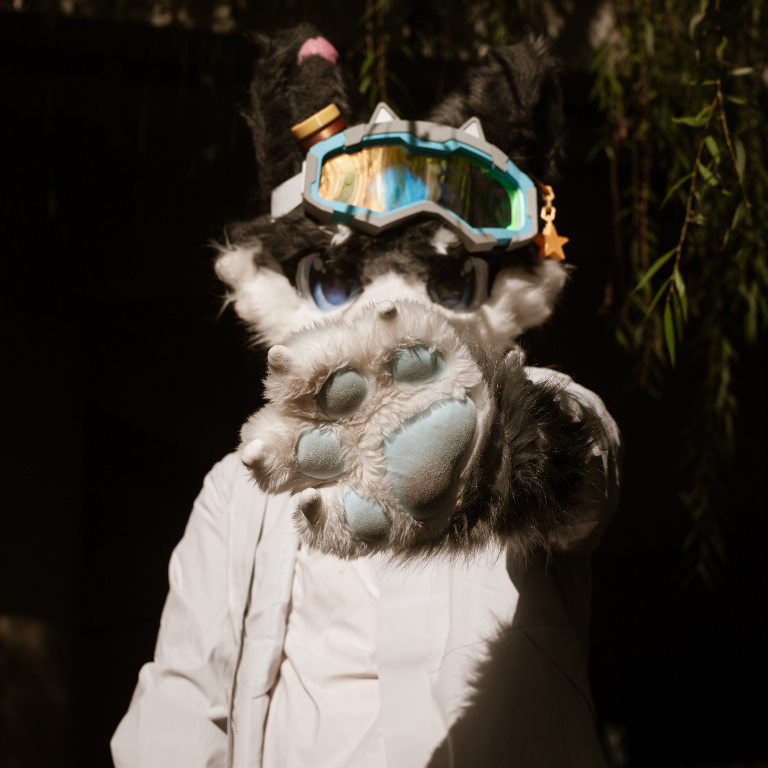 混个眼熟-Furry百科