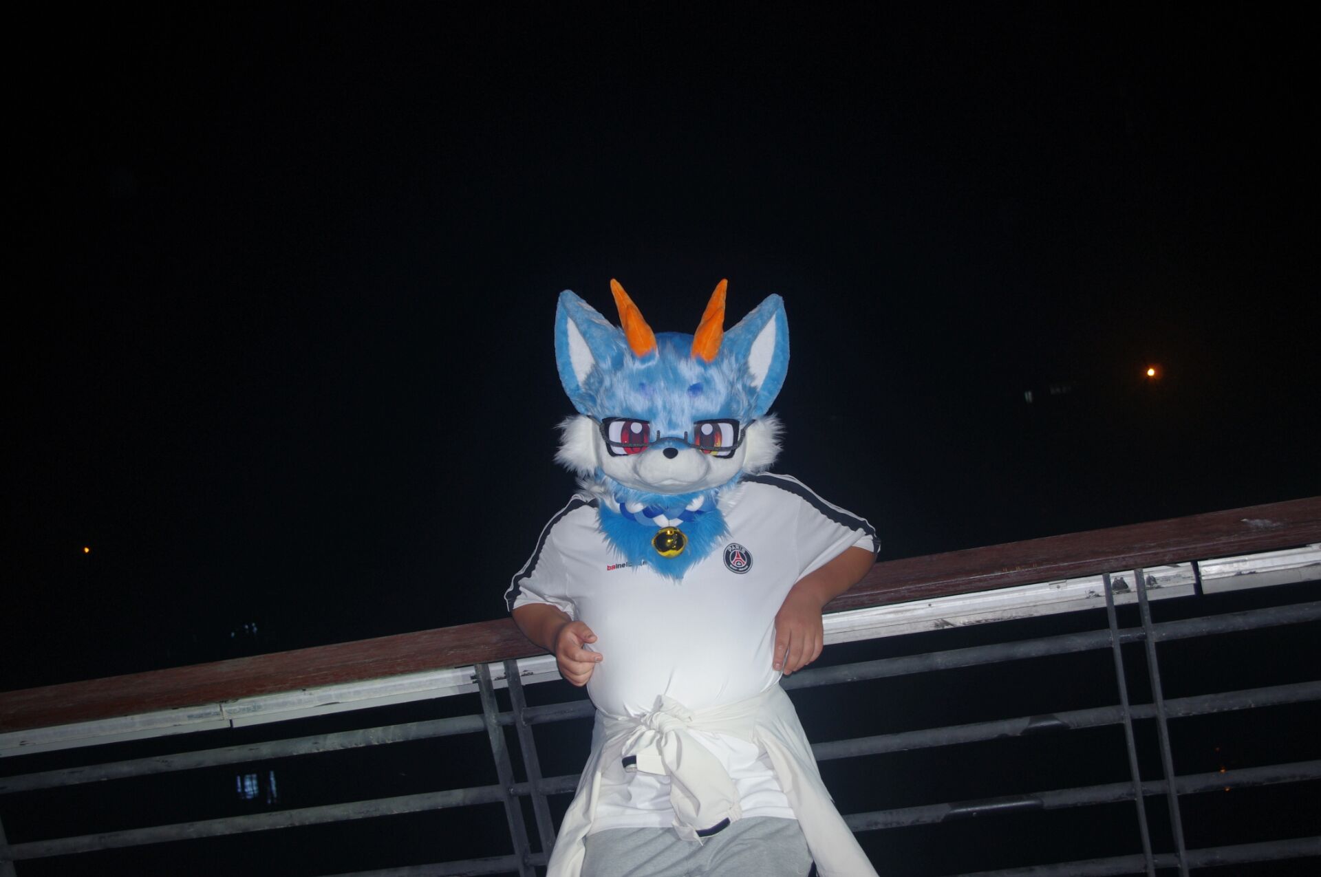 图集帖-Furry百科