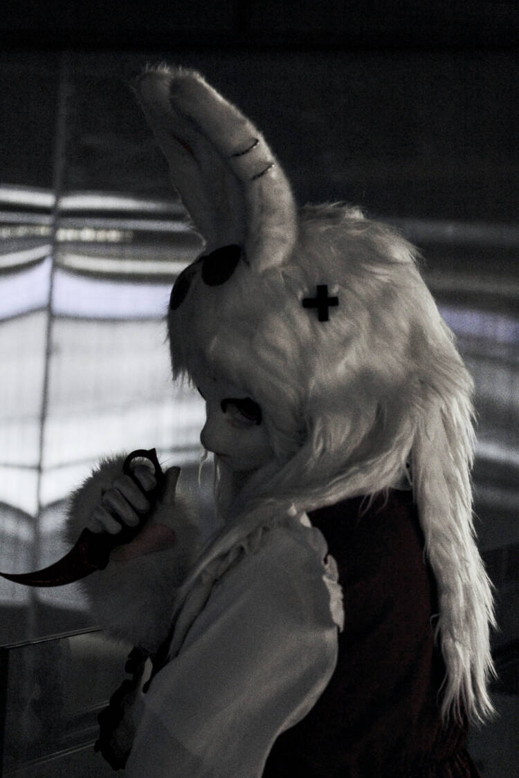 懒得等毛五了-Furry百科