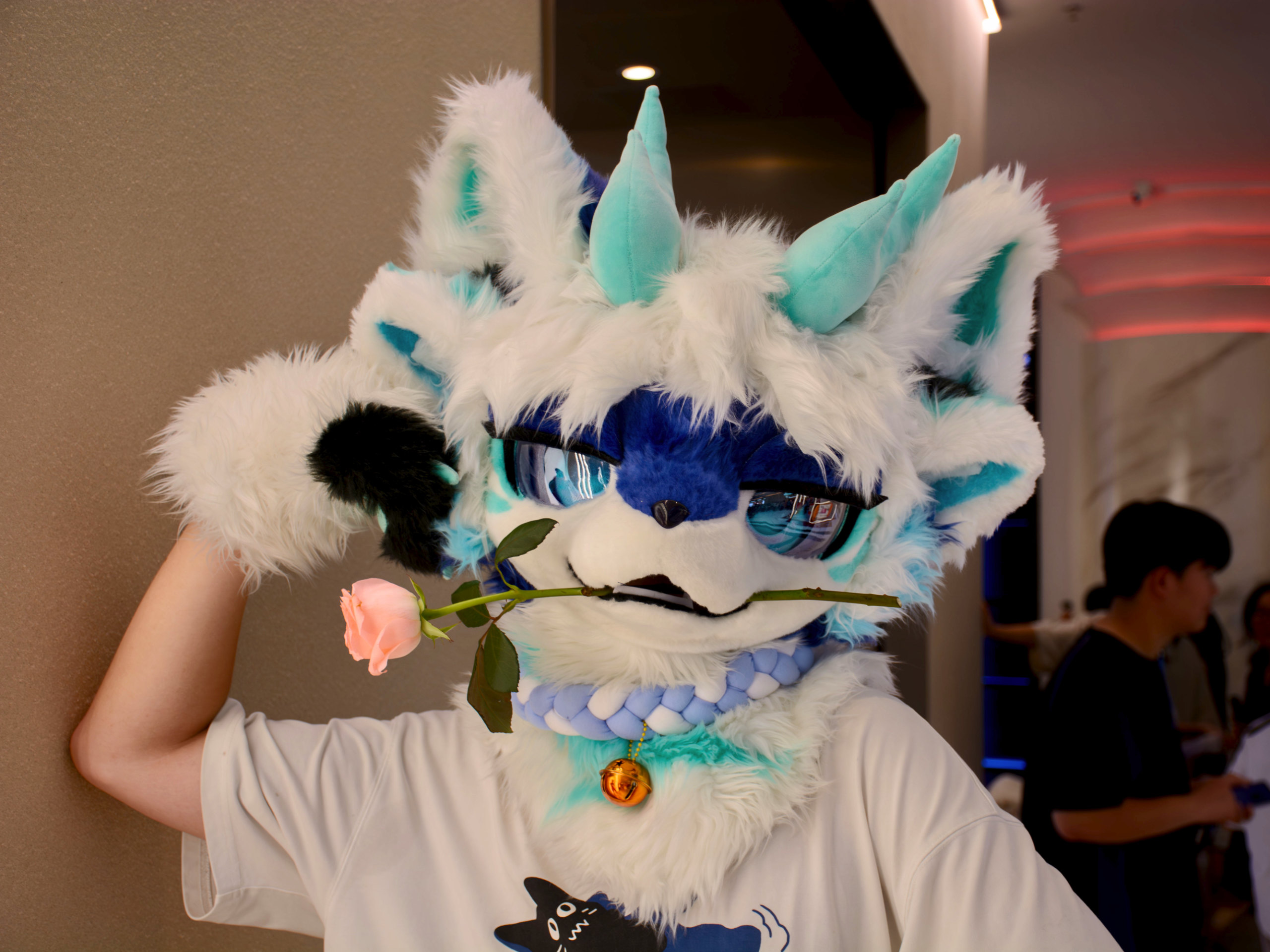 Hello!-Furry百科
